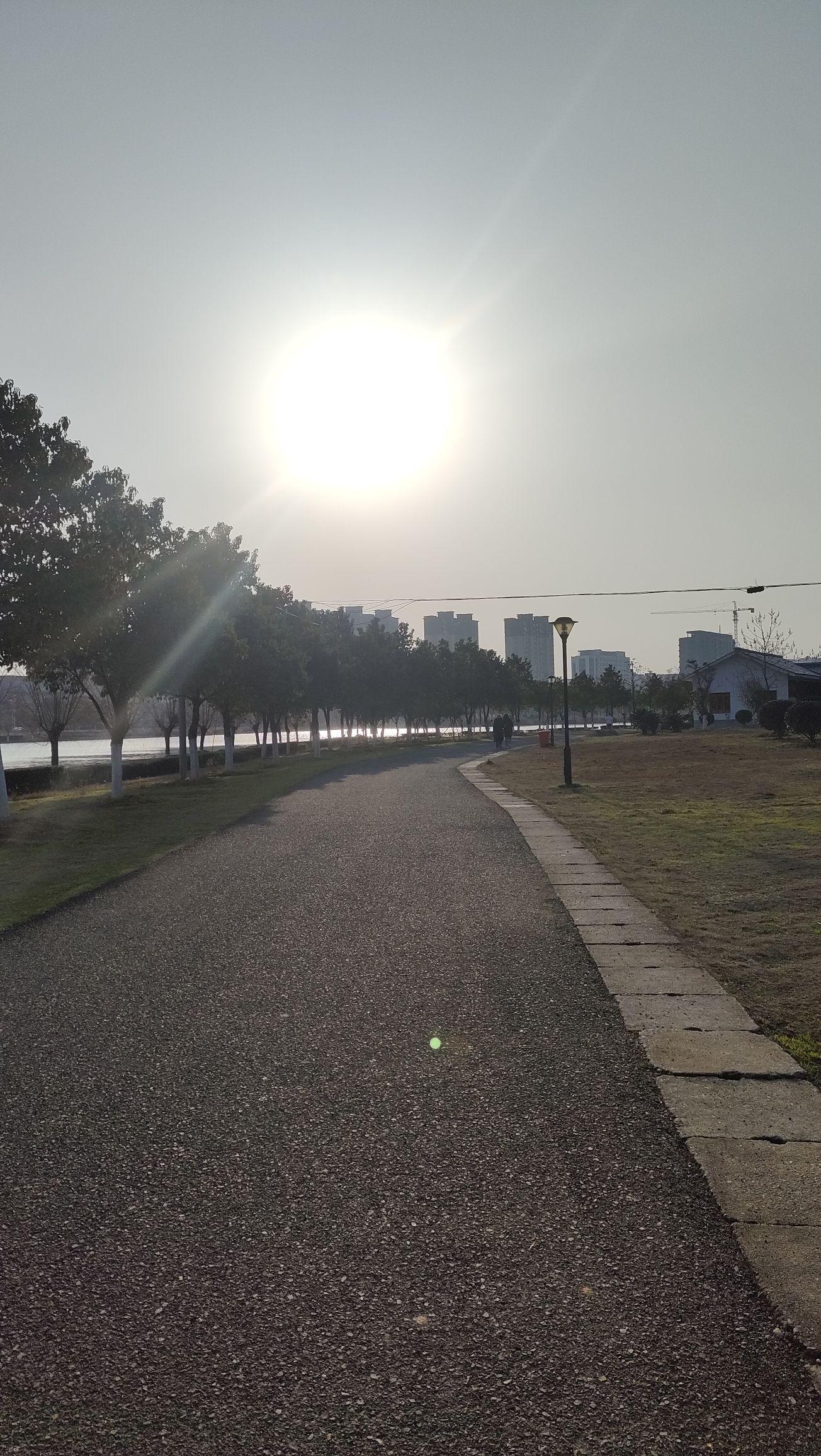 白马湖湿地公园旅行图片 2