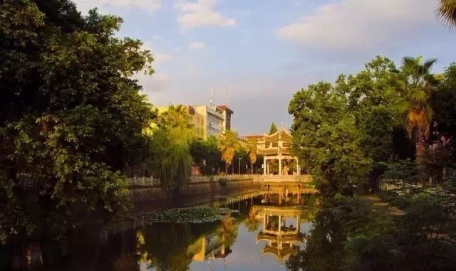 甘蔗广场旅行图片 2