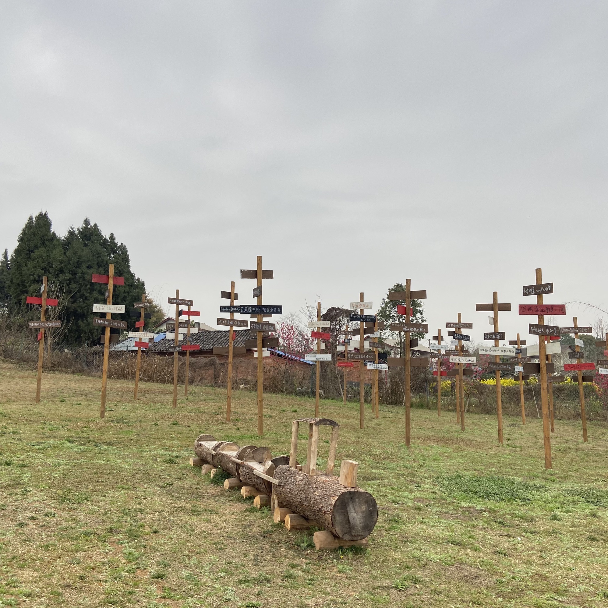 白马关滑草场旅行图片 3