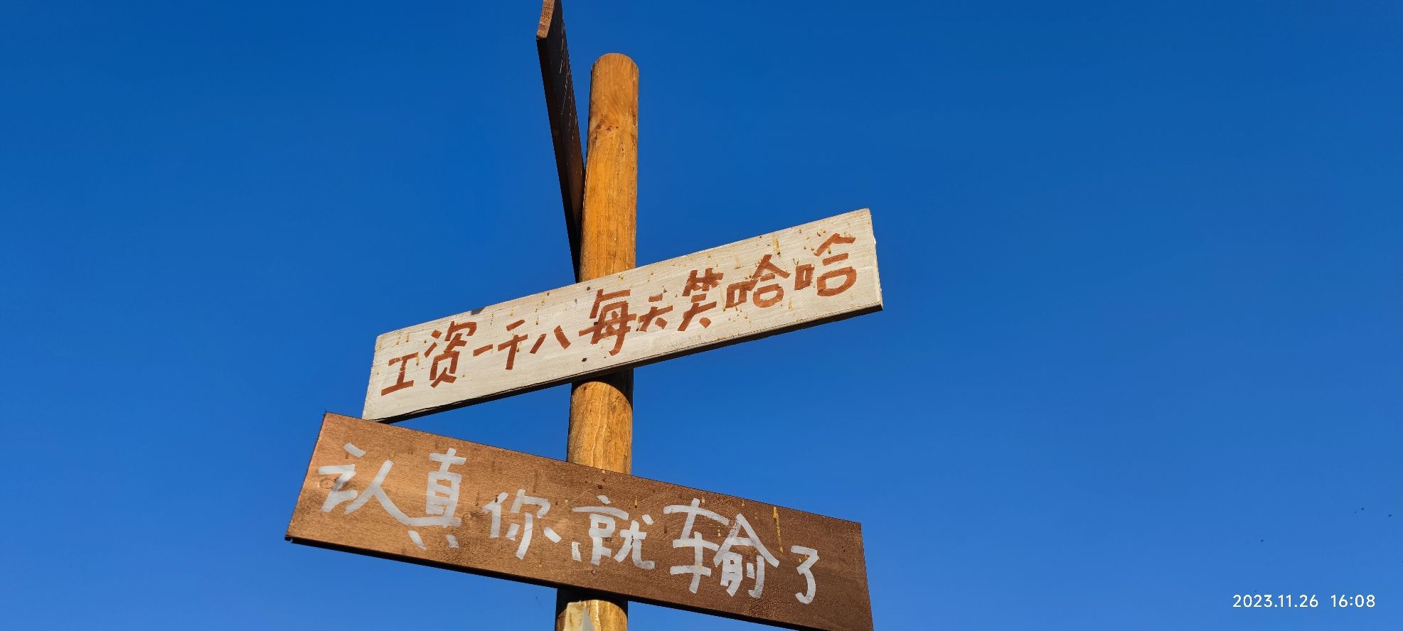 白马关滑草场旅行图片 1