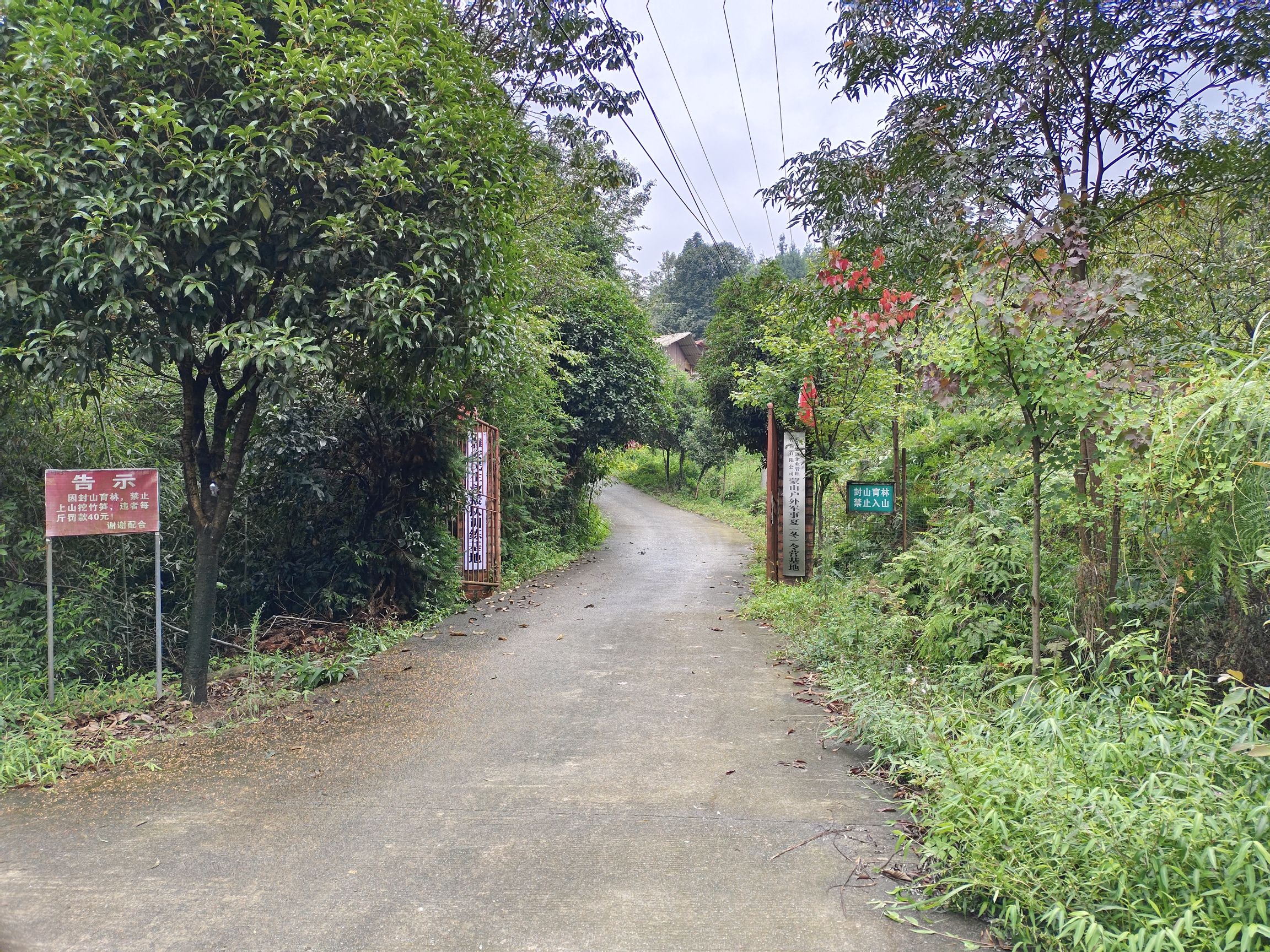 周公山温泉公园旅行图片 3