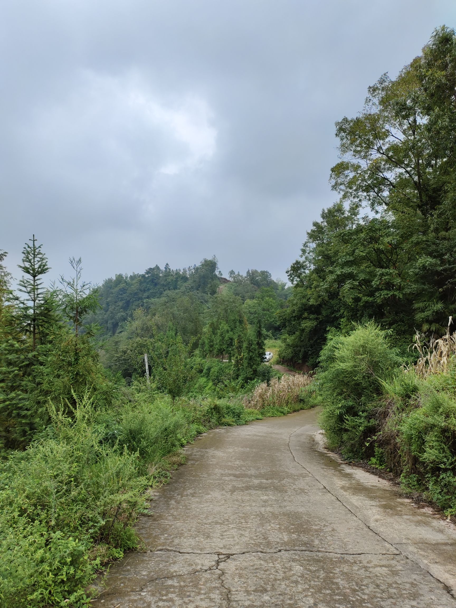 周公山温泉公园旅行图片 1