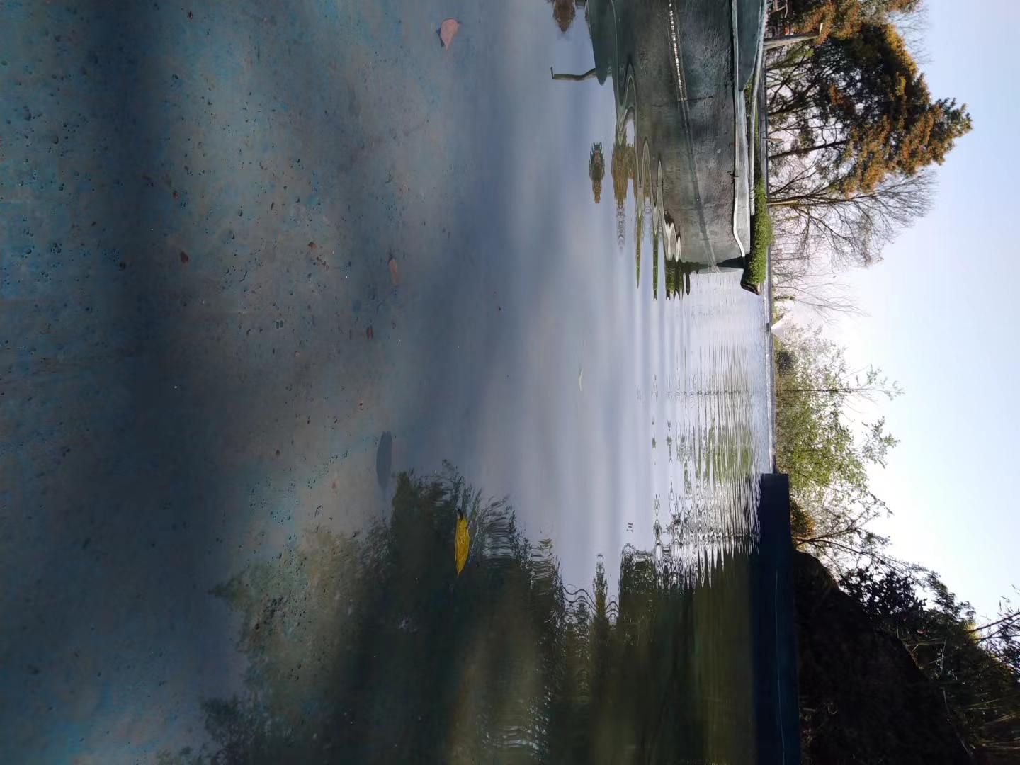 周公山温泉公园旅行图片 3