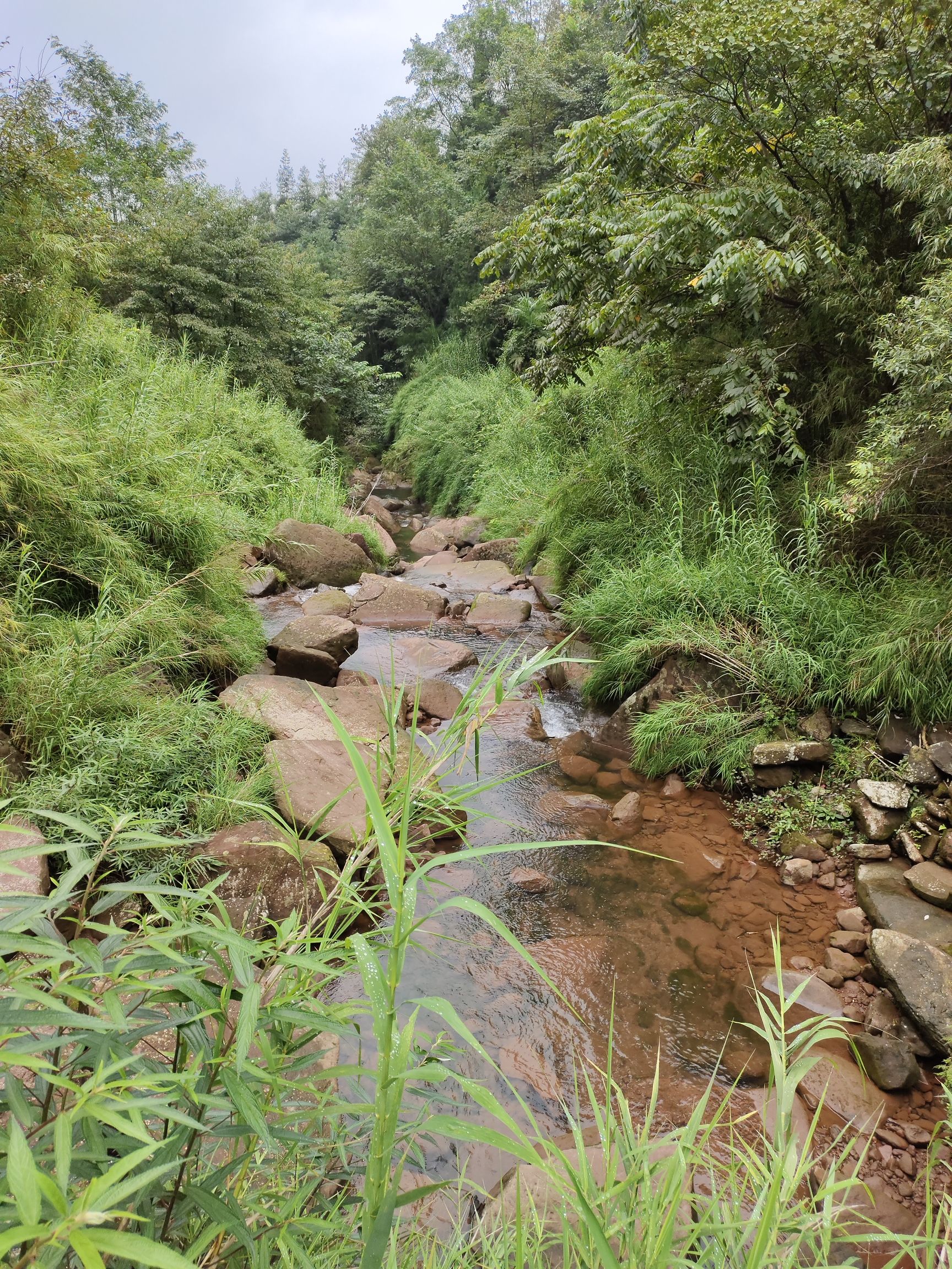 周公山温泉公园旅行图片 2