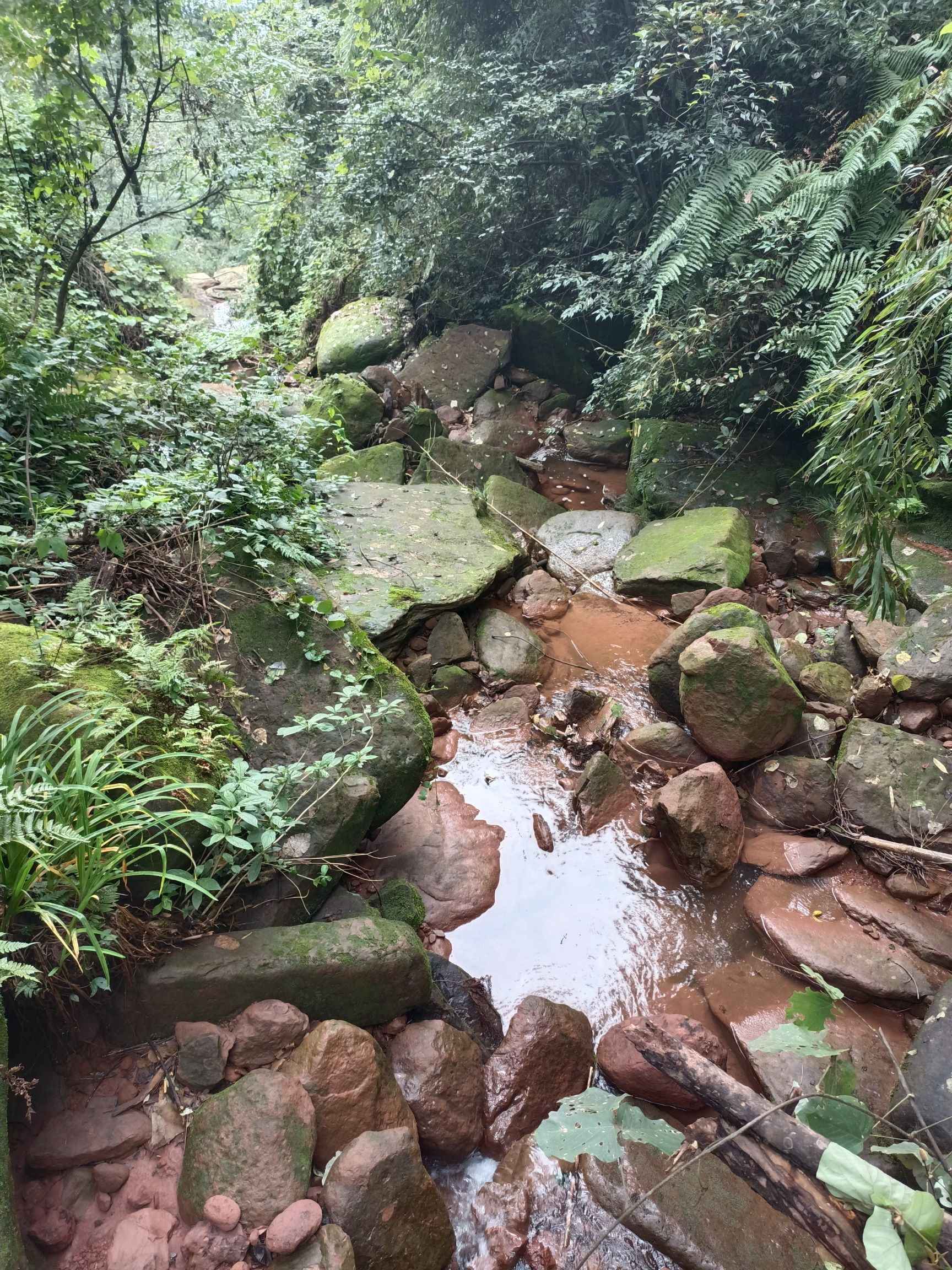 周公山温泉公园旅行图片 3
