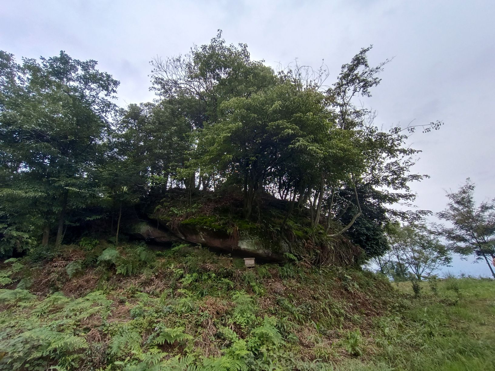 周公山温泉公园旅行图片 2