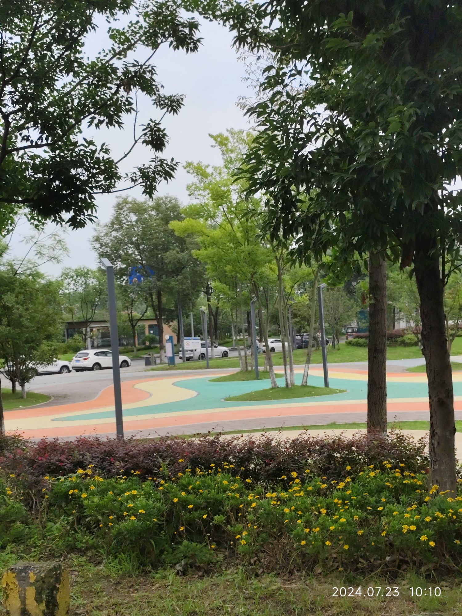 下新桥公园旅行图片 3