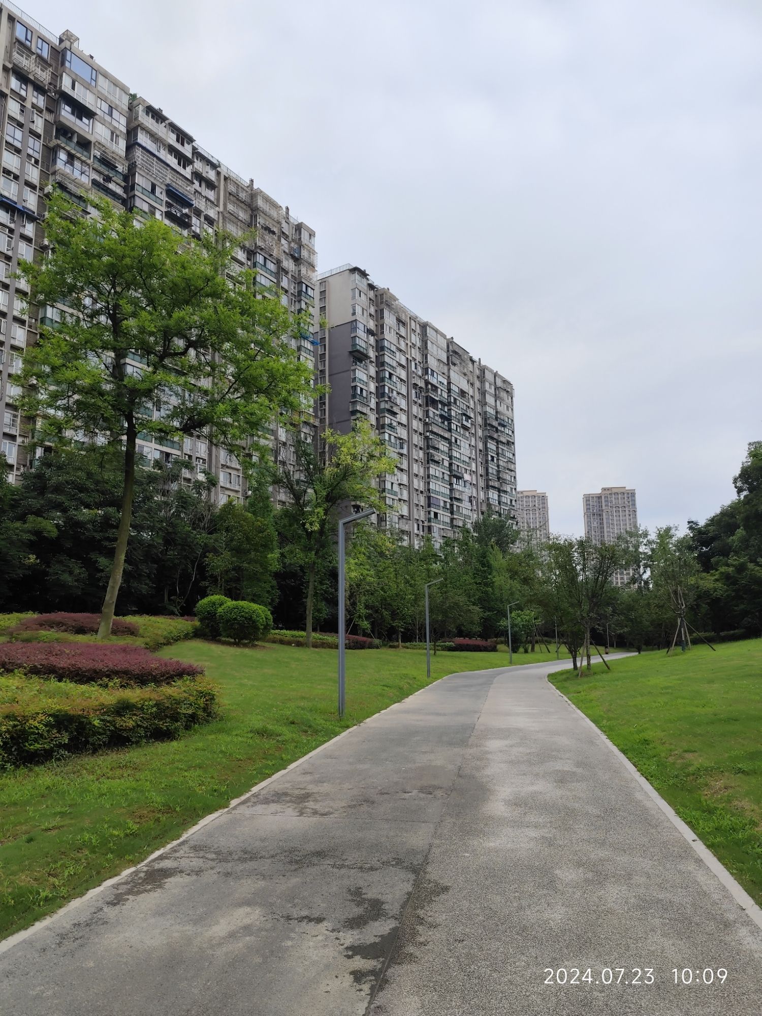 下新桥公园旅行图片 2