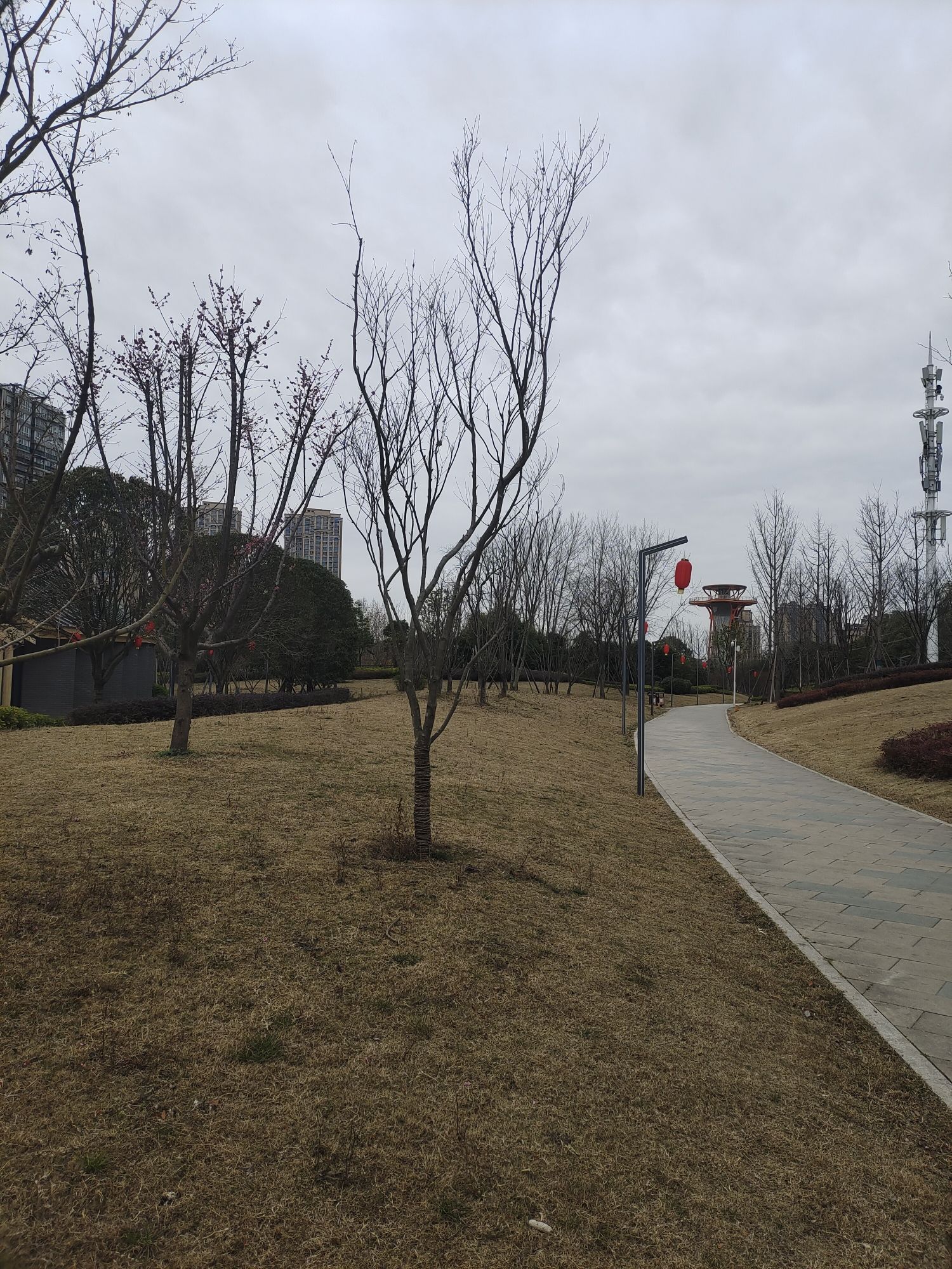 下新桥公园旅行图片 3