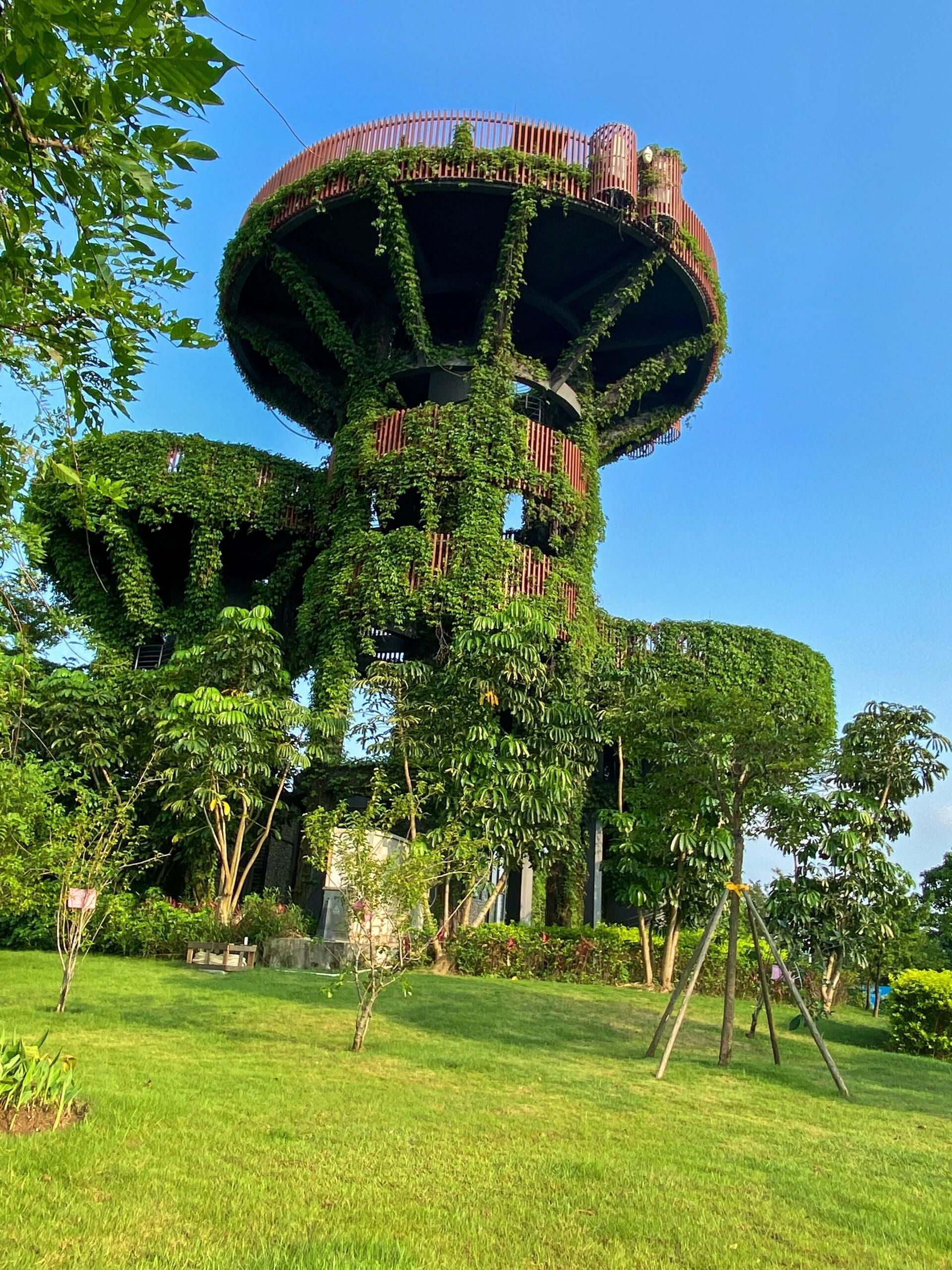 横琴芒洲湿地公园旅行图片 1