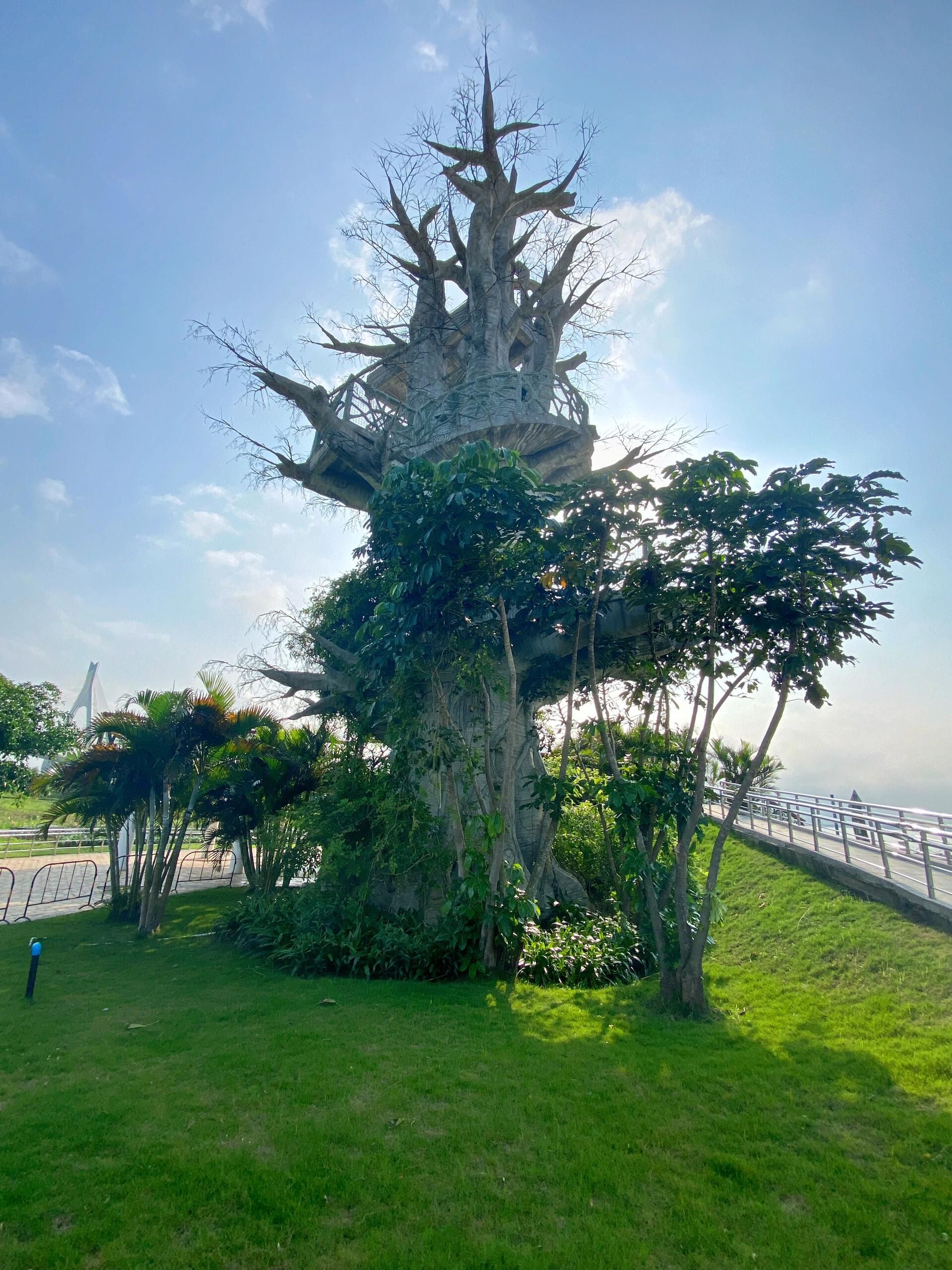 横琴芒洲湿地公园旅行图片 2