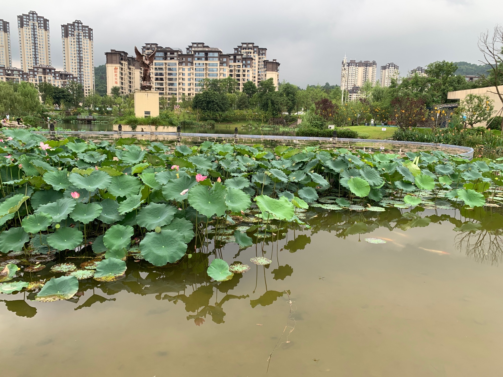白马湖公园旅行图片 2