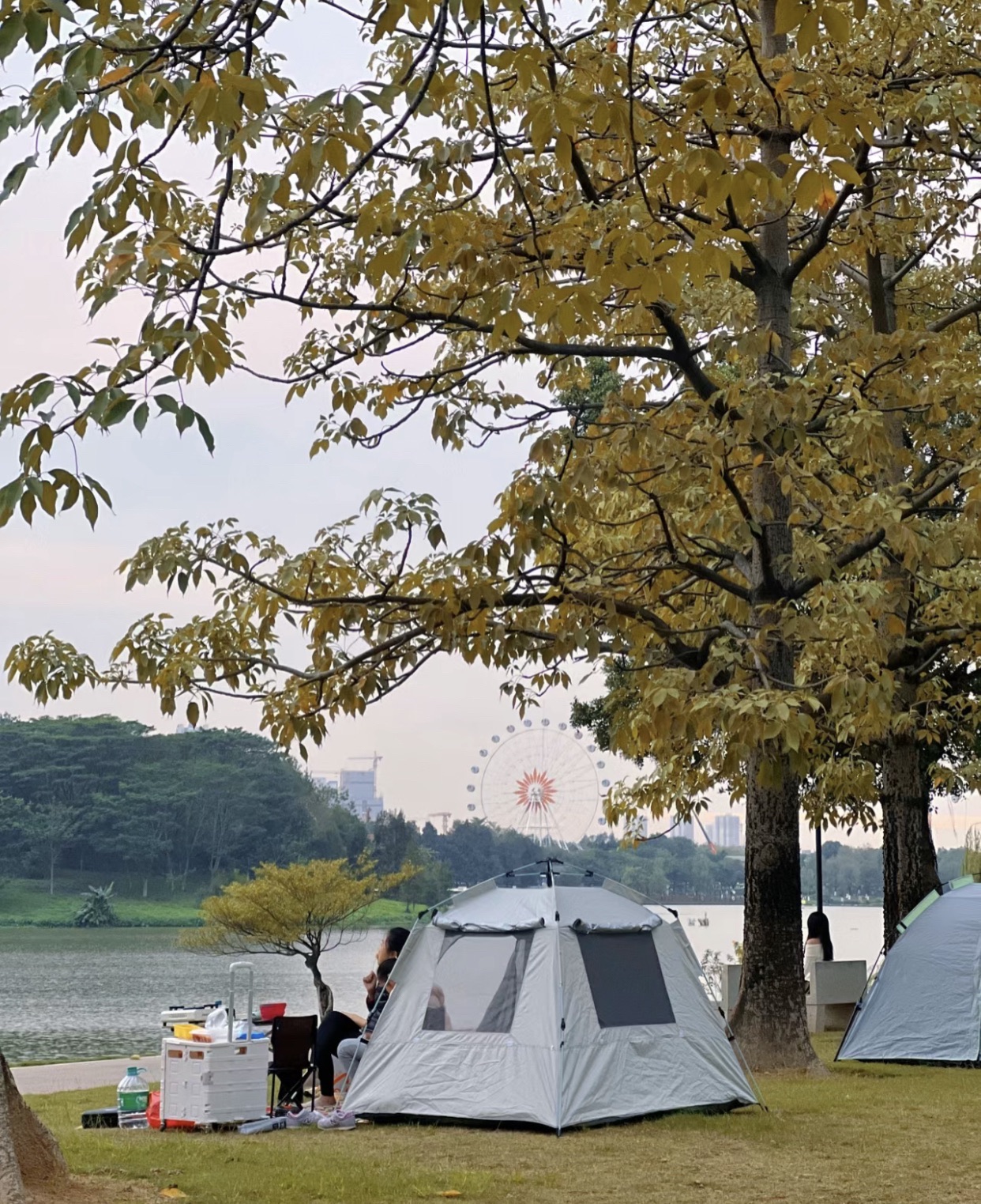 德阳旌南湿地公园旅行图片 1