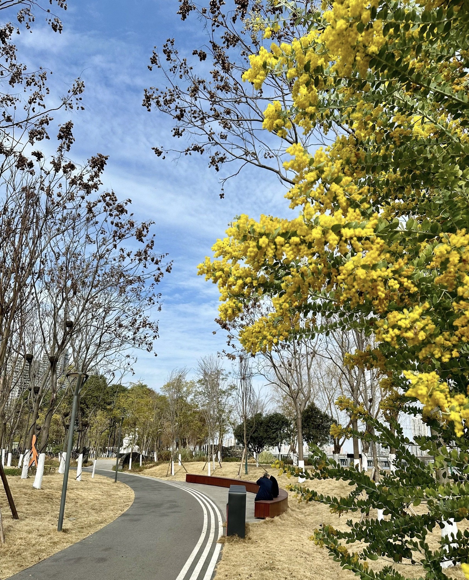 德阳旌南湿地公园