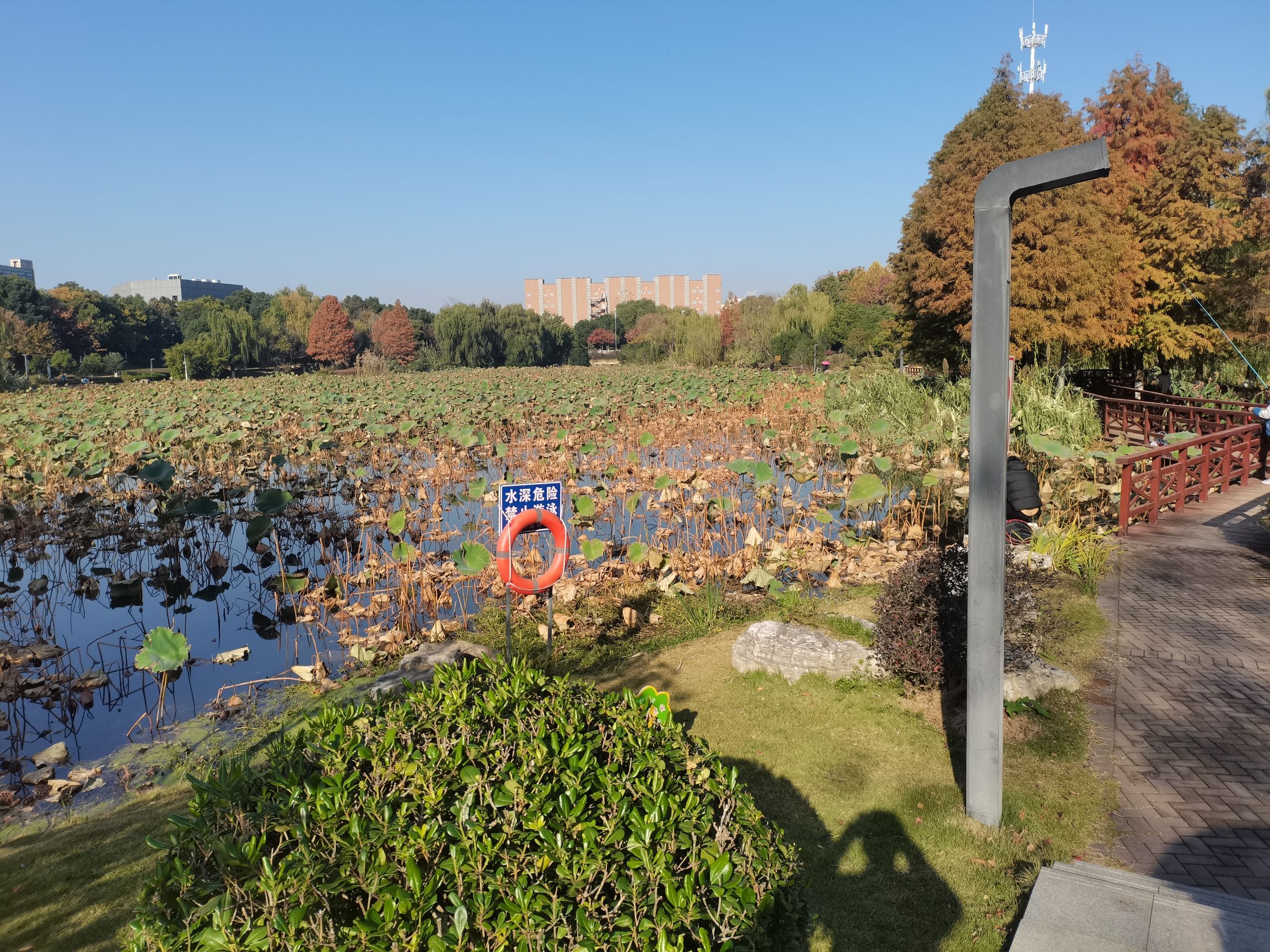 丝兰湖公园旅行图片 3