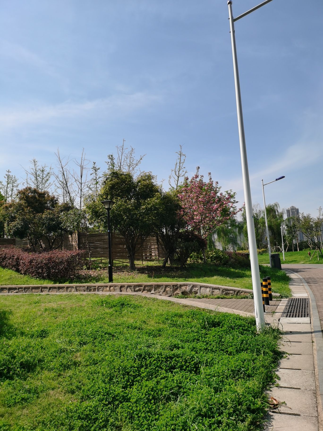 后湖公园旅行图片 3