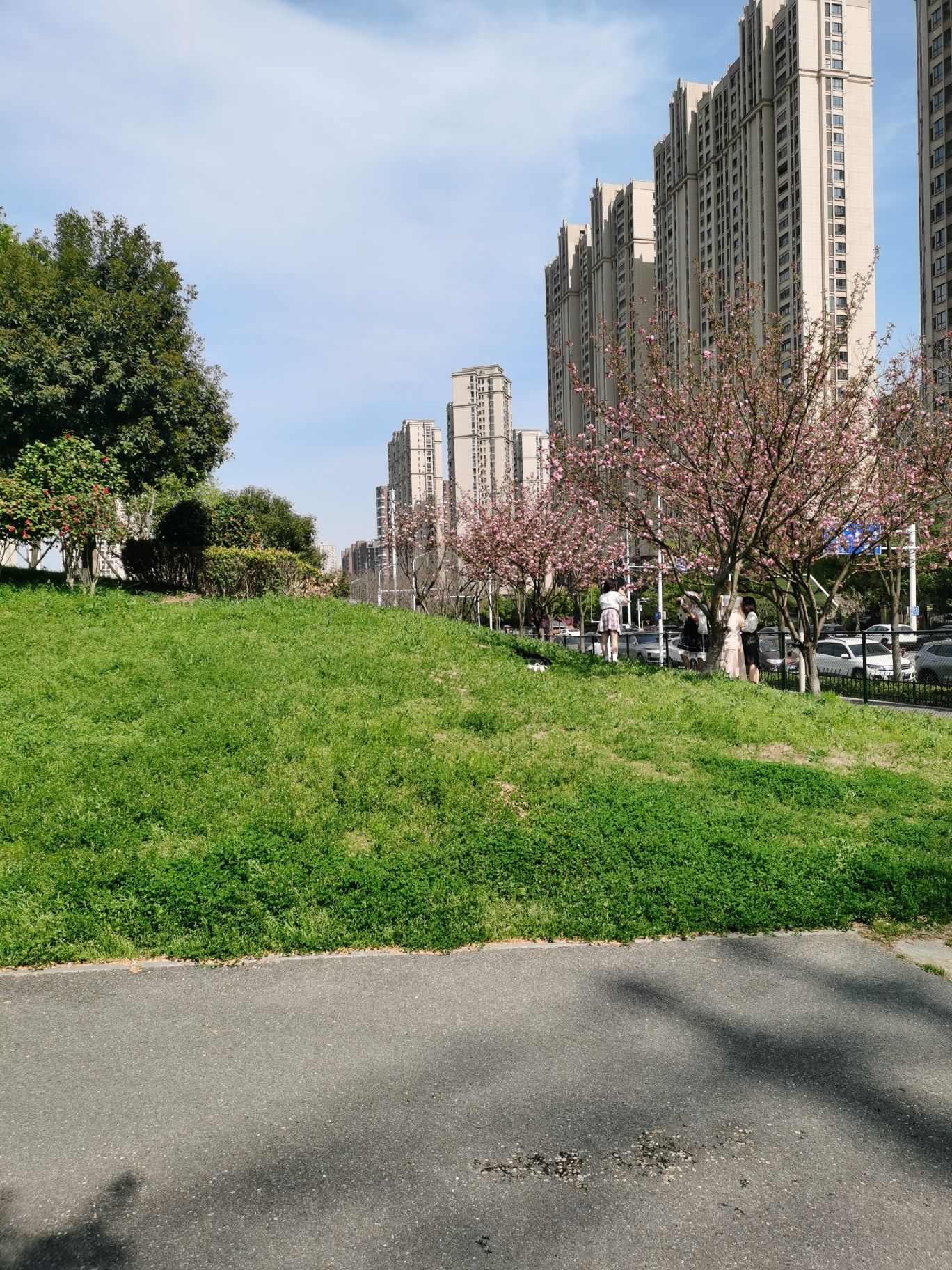 后湖公园旅行图片 1