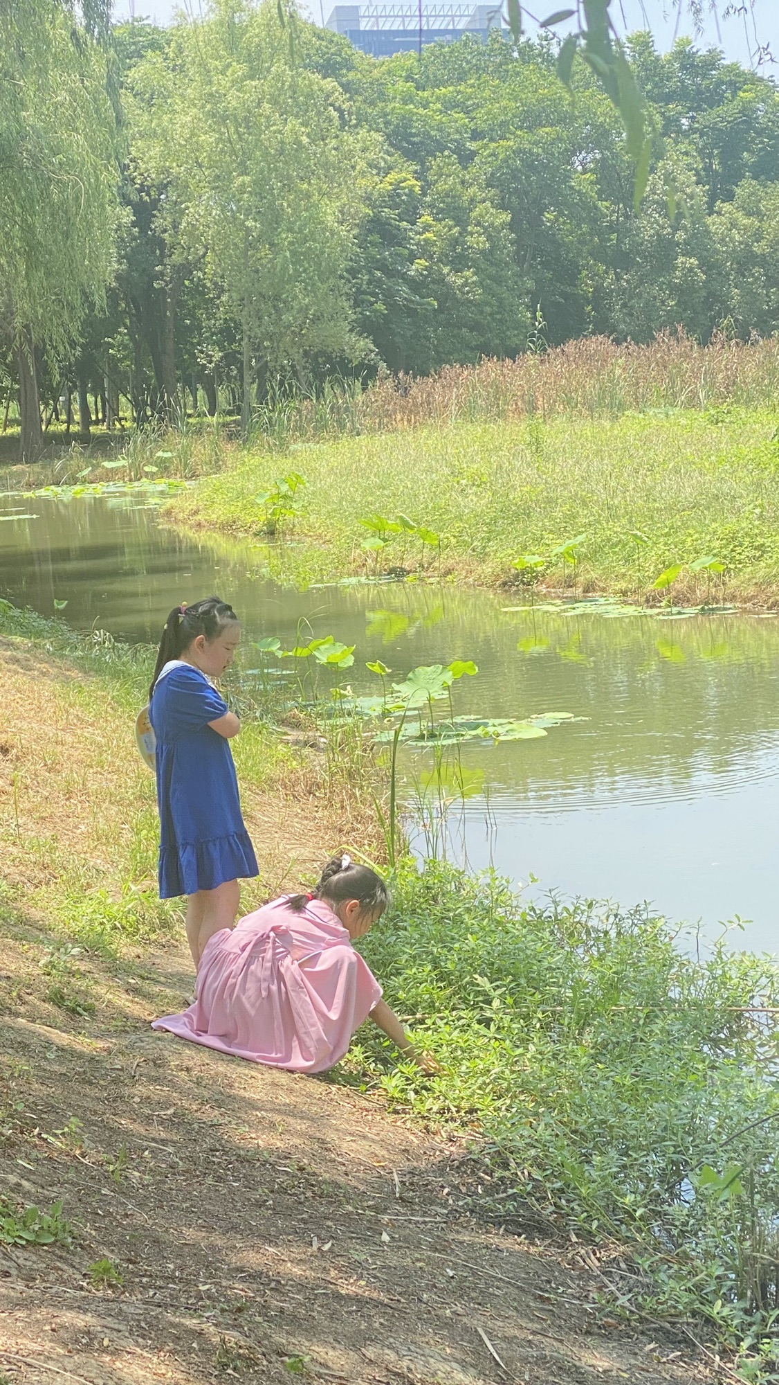 张毕湖公园旅行图片 1