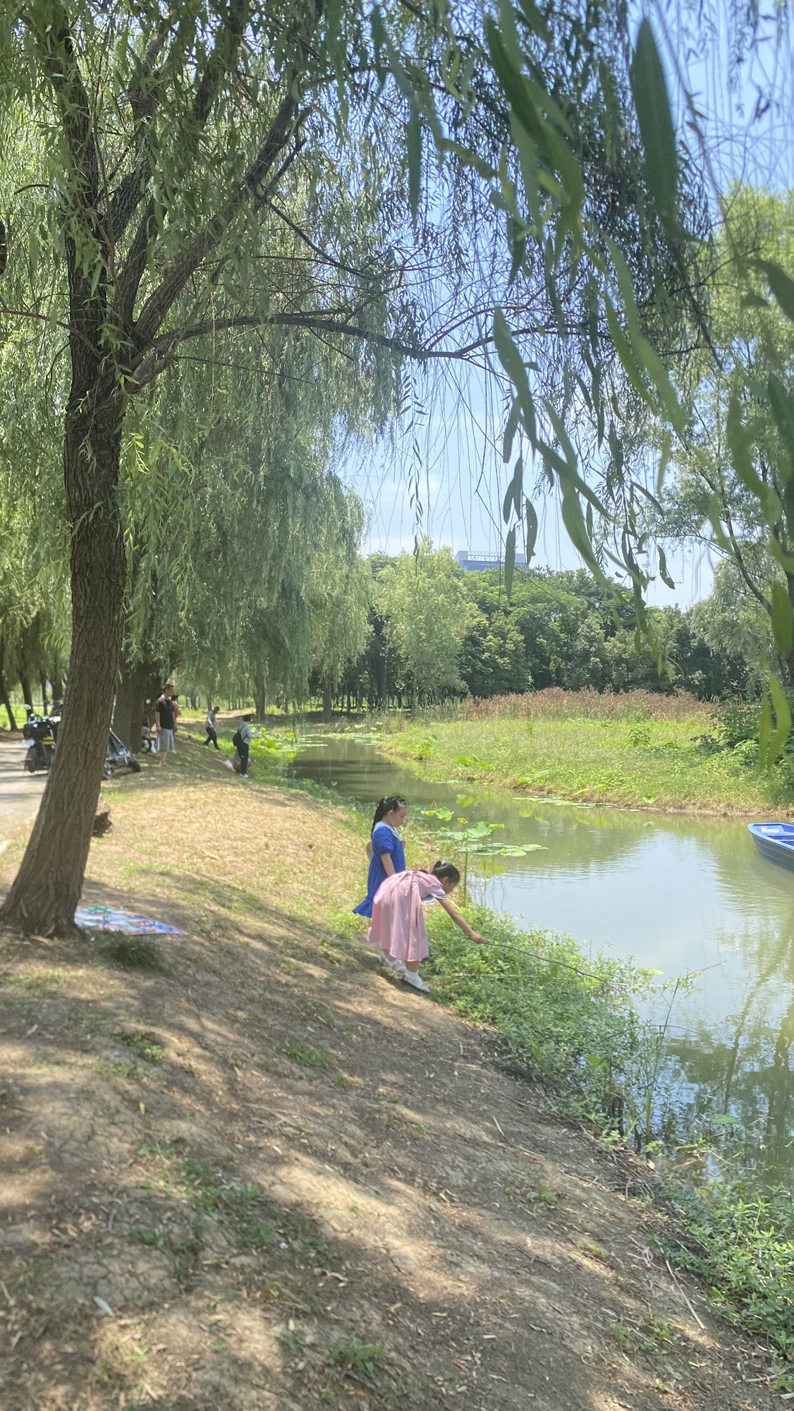 张毕湖公园旅行图片 2