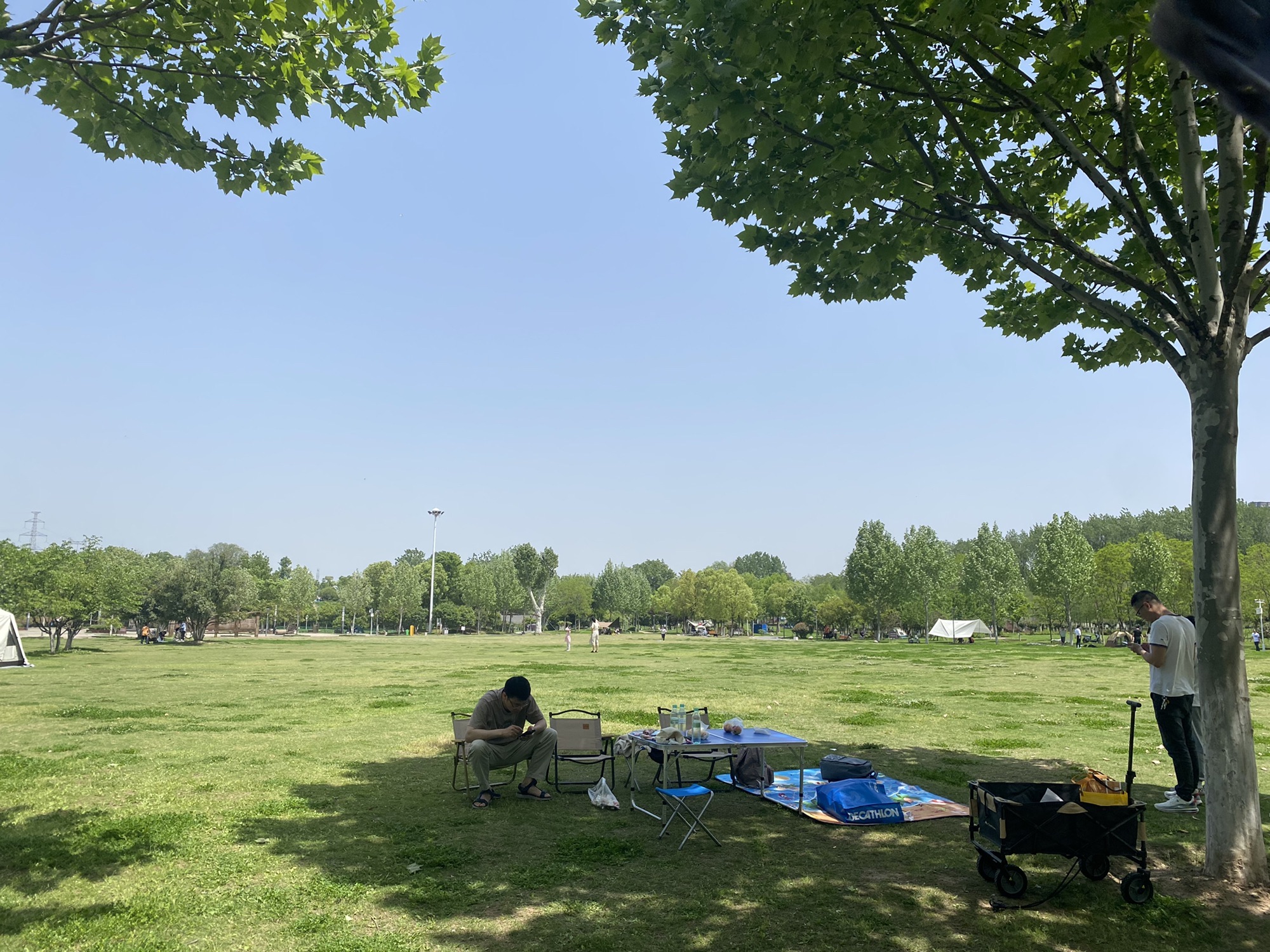府河郊野公园旅行图片 1