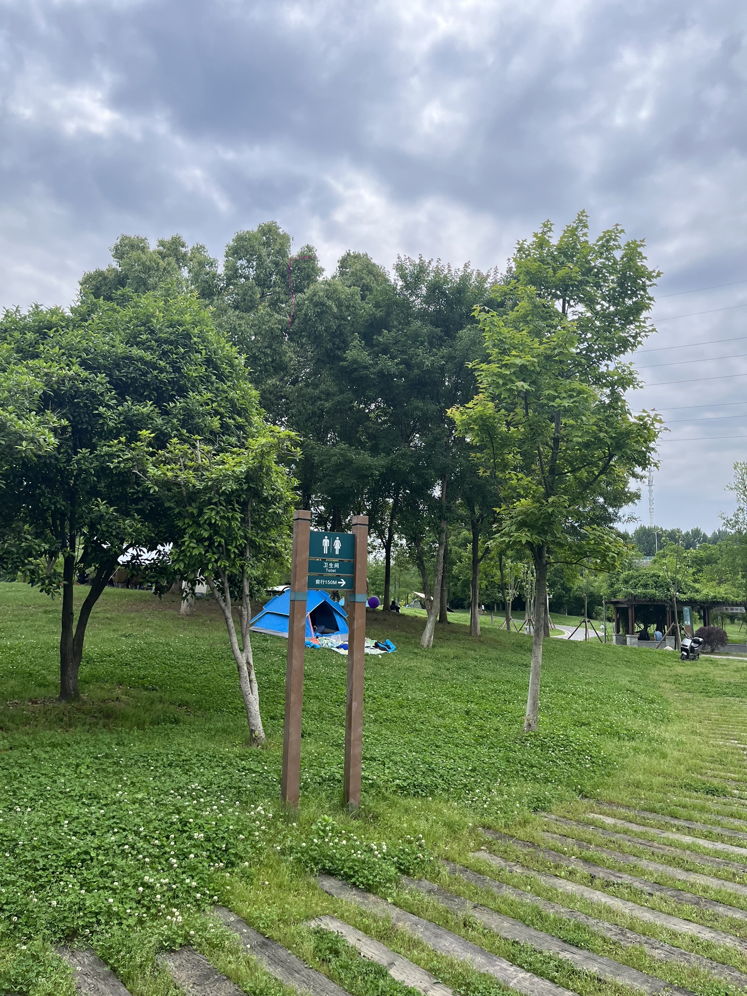 府河郊野公园旅行图片 2