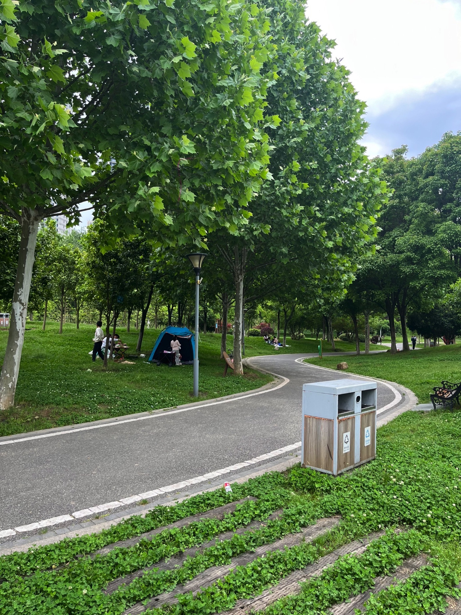 府河郊野公园旅行图片 1