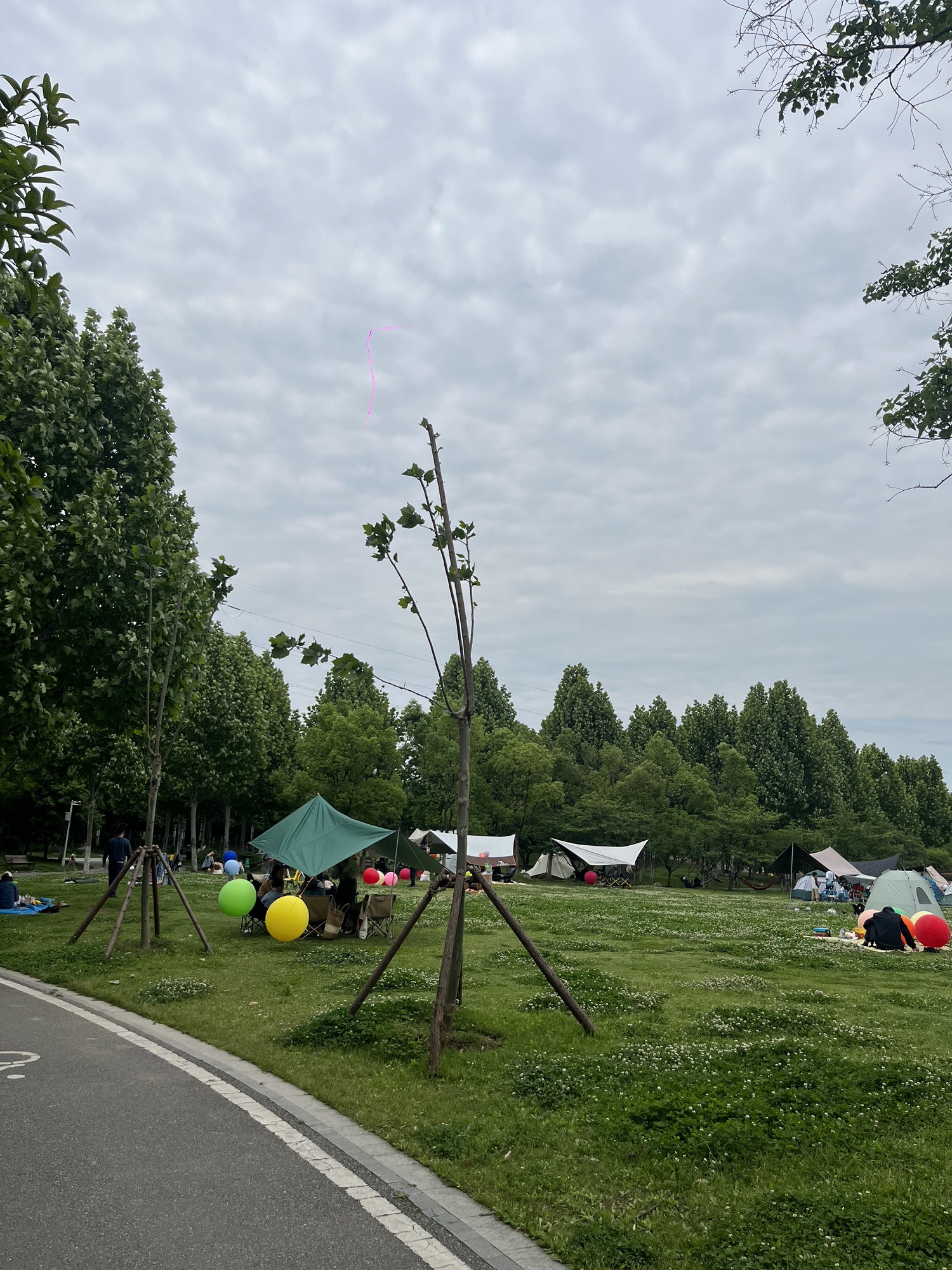 府河郊野公园旅行图片 3