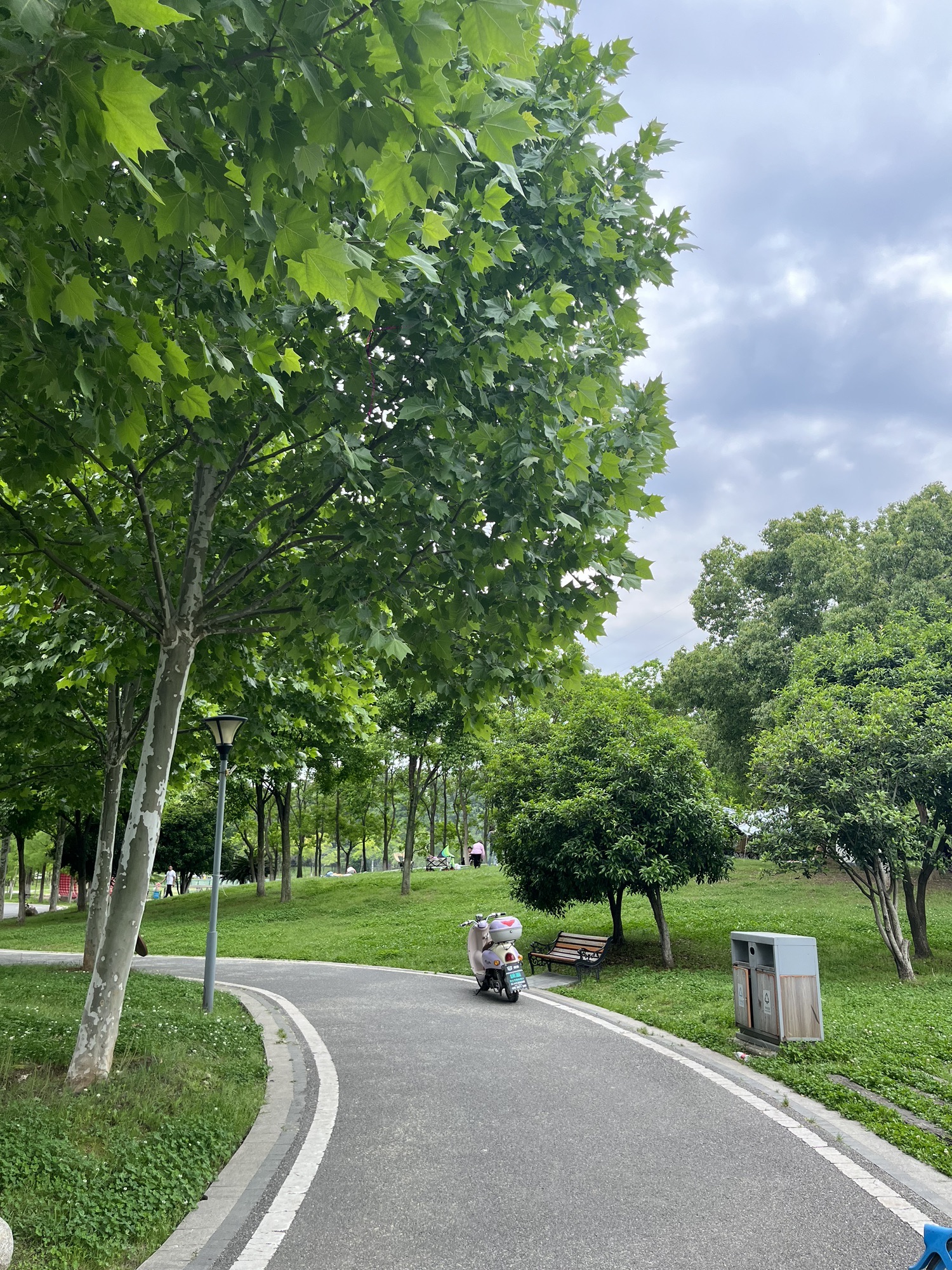 府河郊野公园旅行图片 3