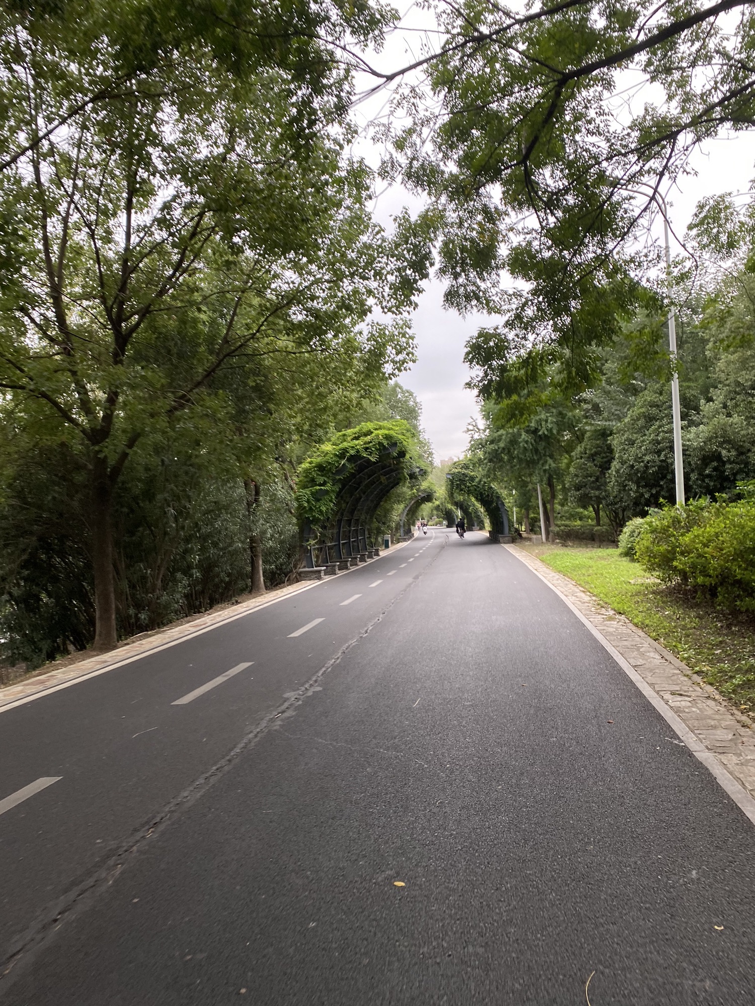 府河郊野公园旅行图片 1