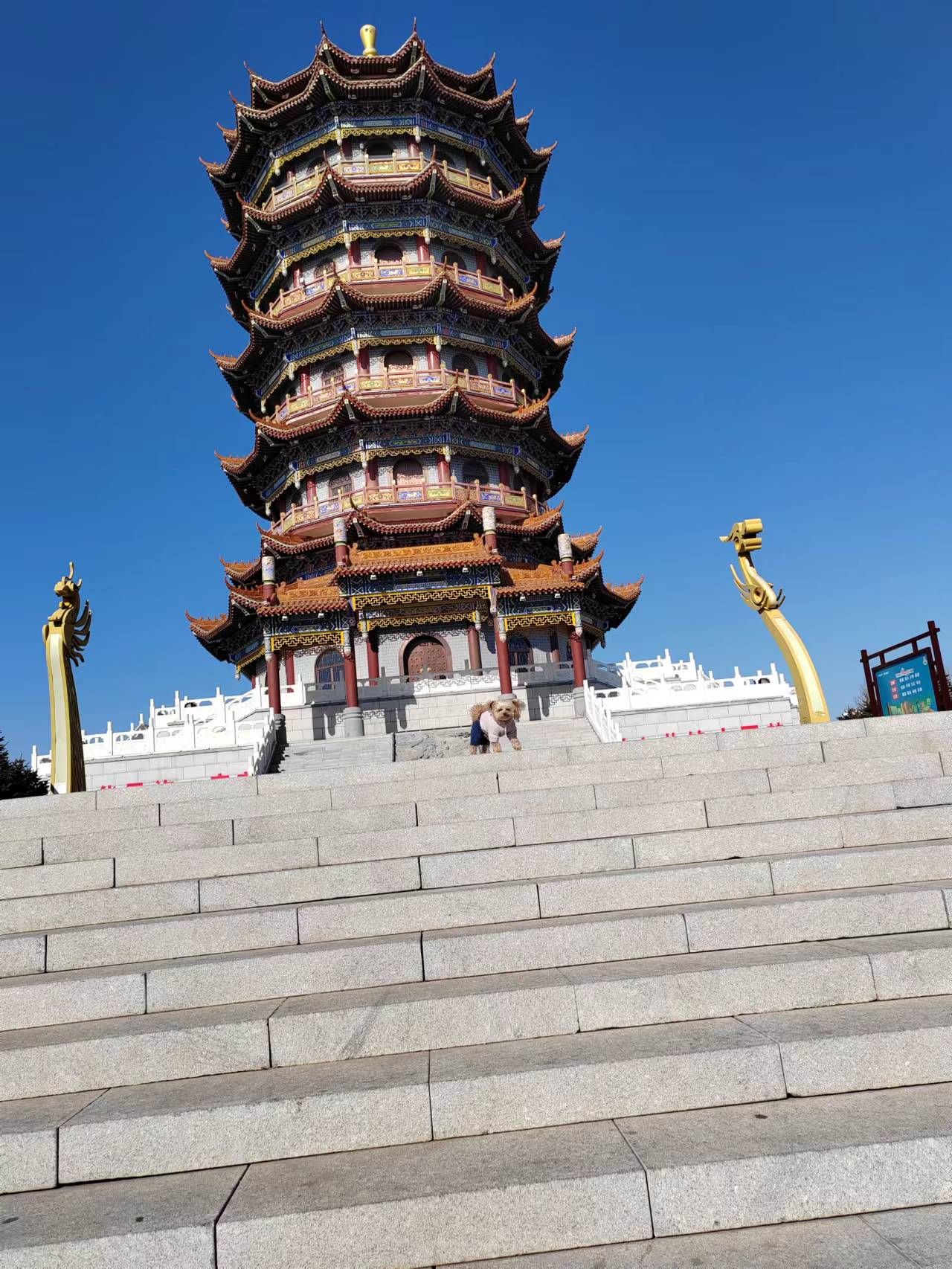 凤凰楼(暂停开放)旅行图片 2