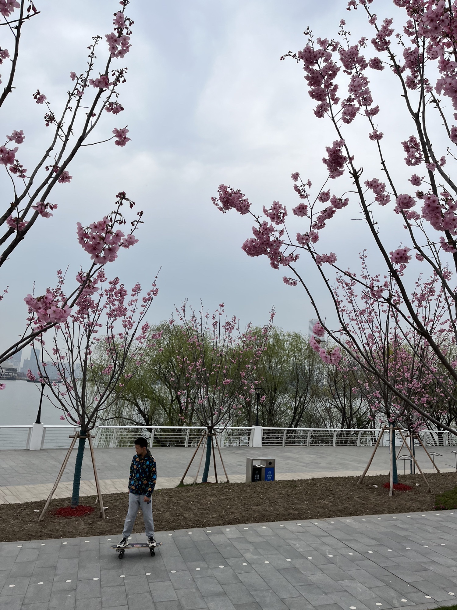 前滩休闲公园旅行图片 3