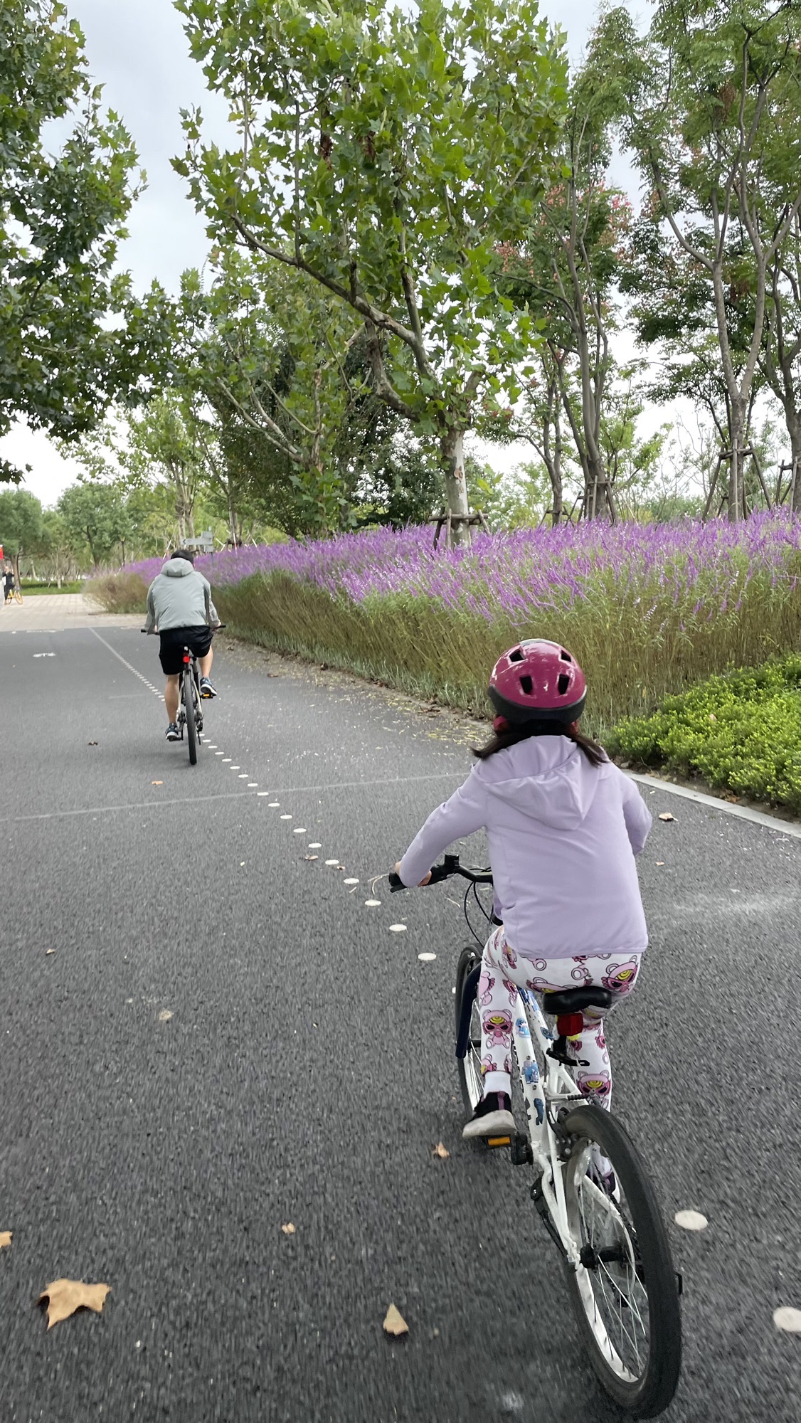 前滩休闲公园旅行图片