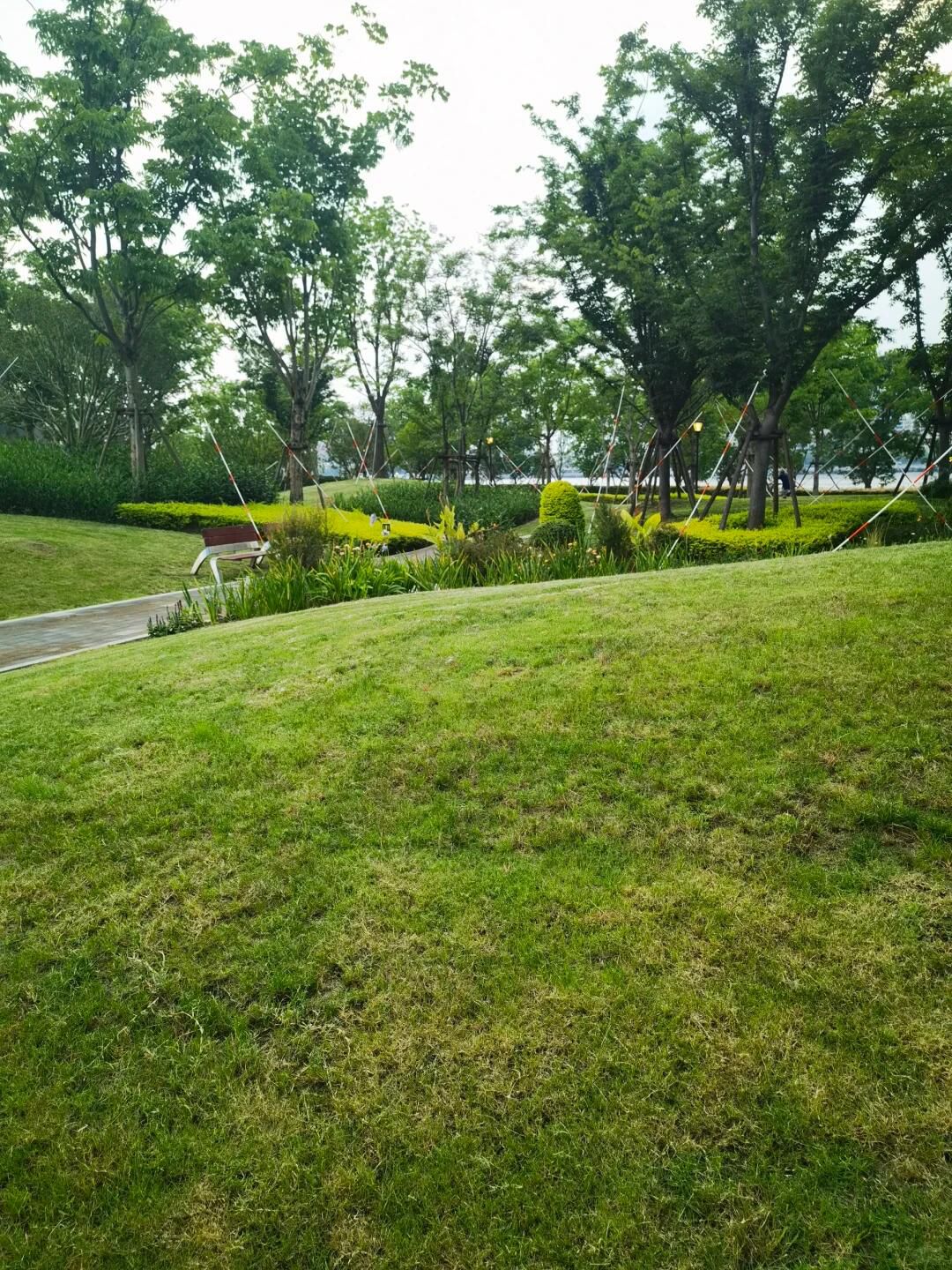 前滩休闲公园旅行图片 2