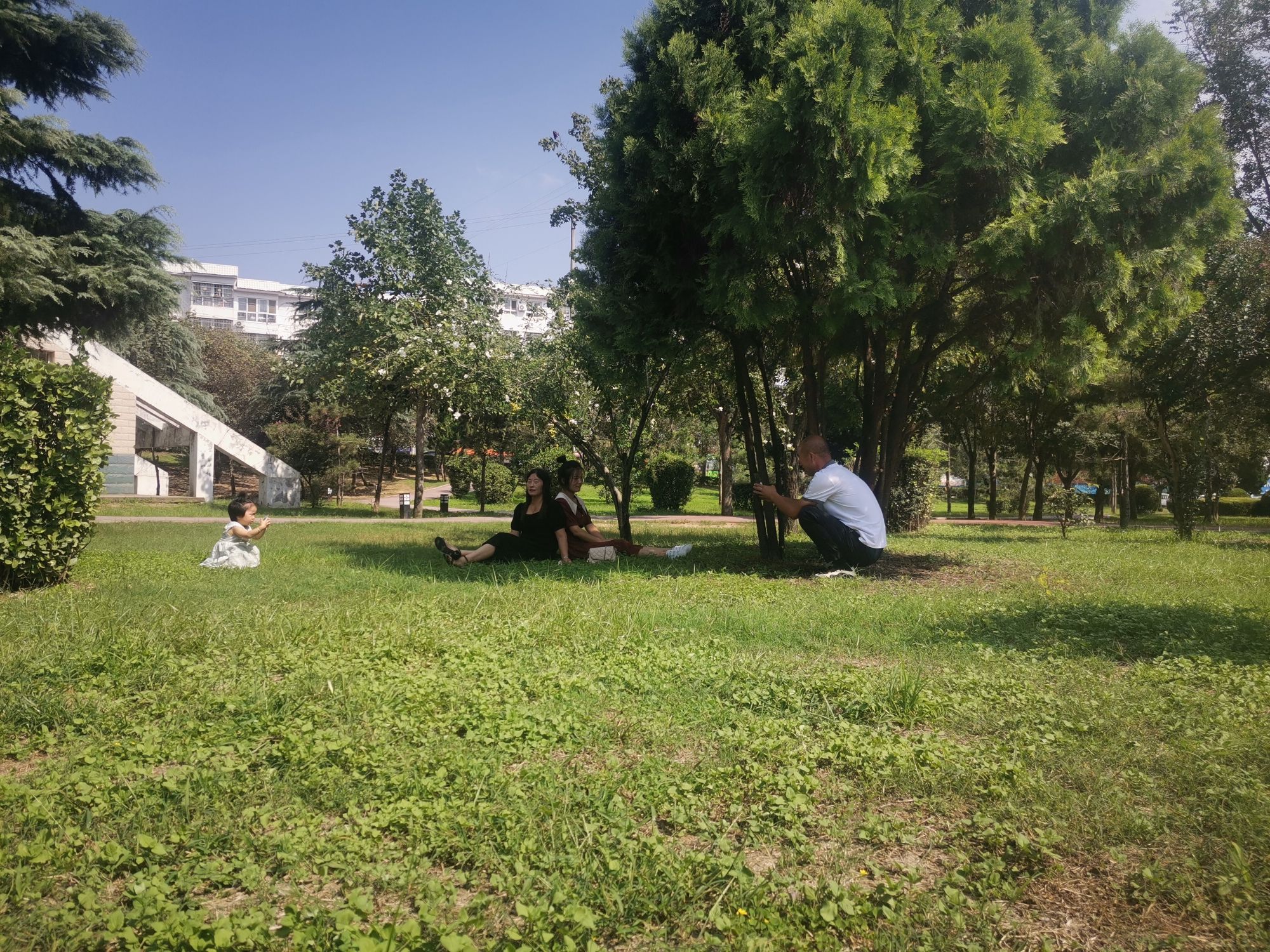 世纪广场党建主题公园旅行图片 2