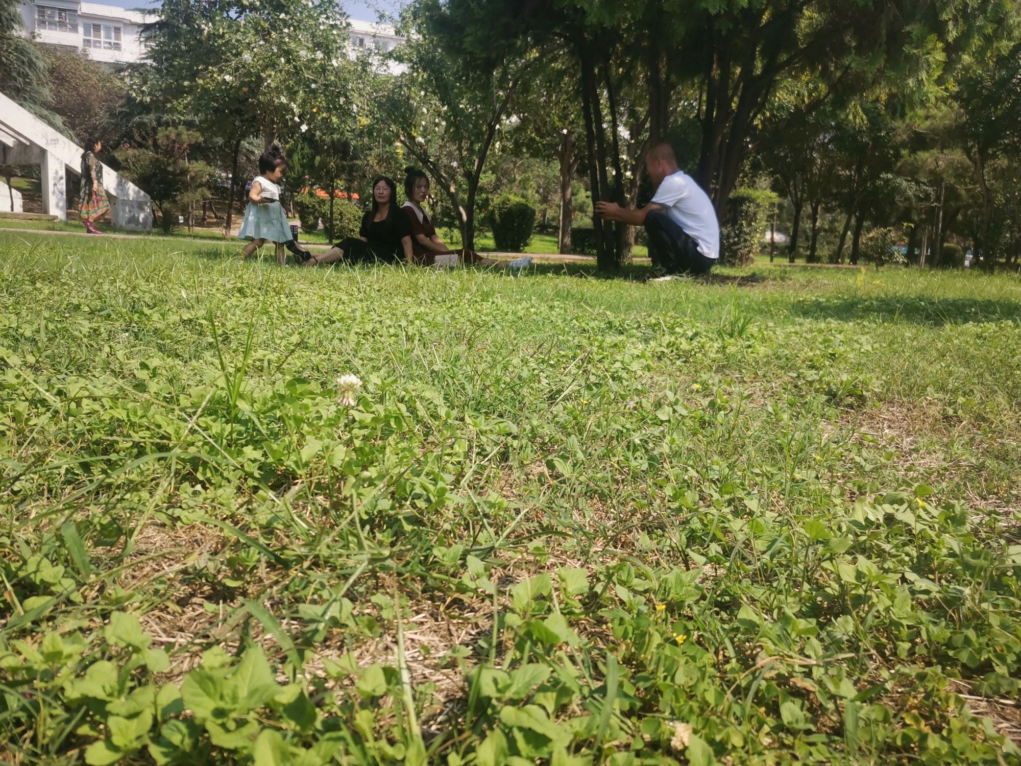 世纪广场党建主题公园旅行图片 2