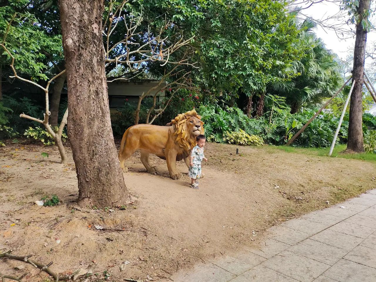 北海园博园旅行图片 1