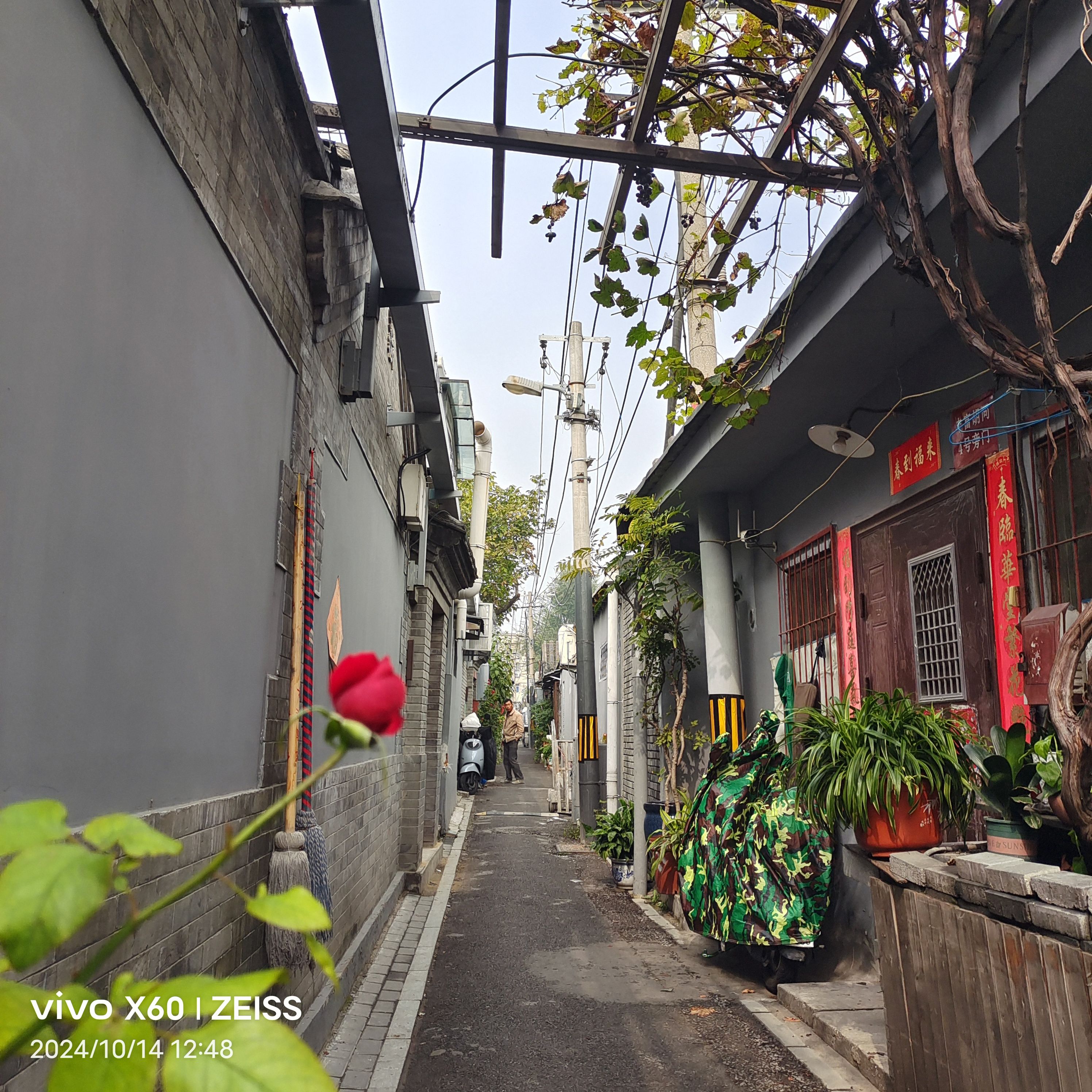 老北京胡同游旅行图片 2