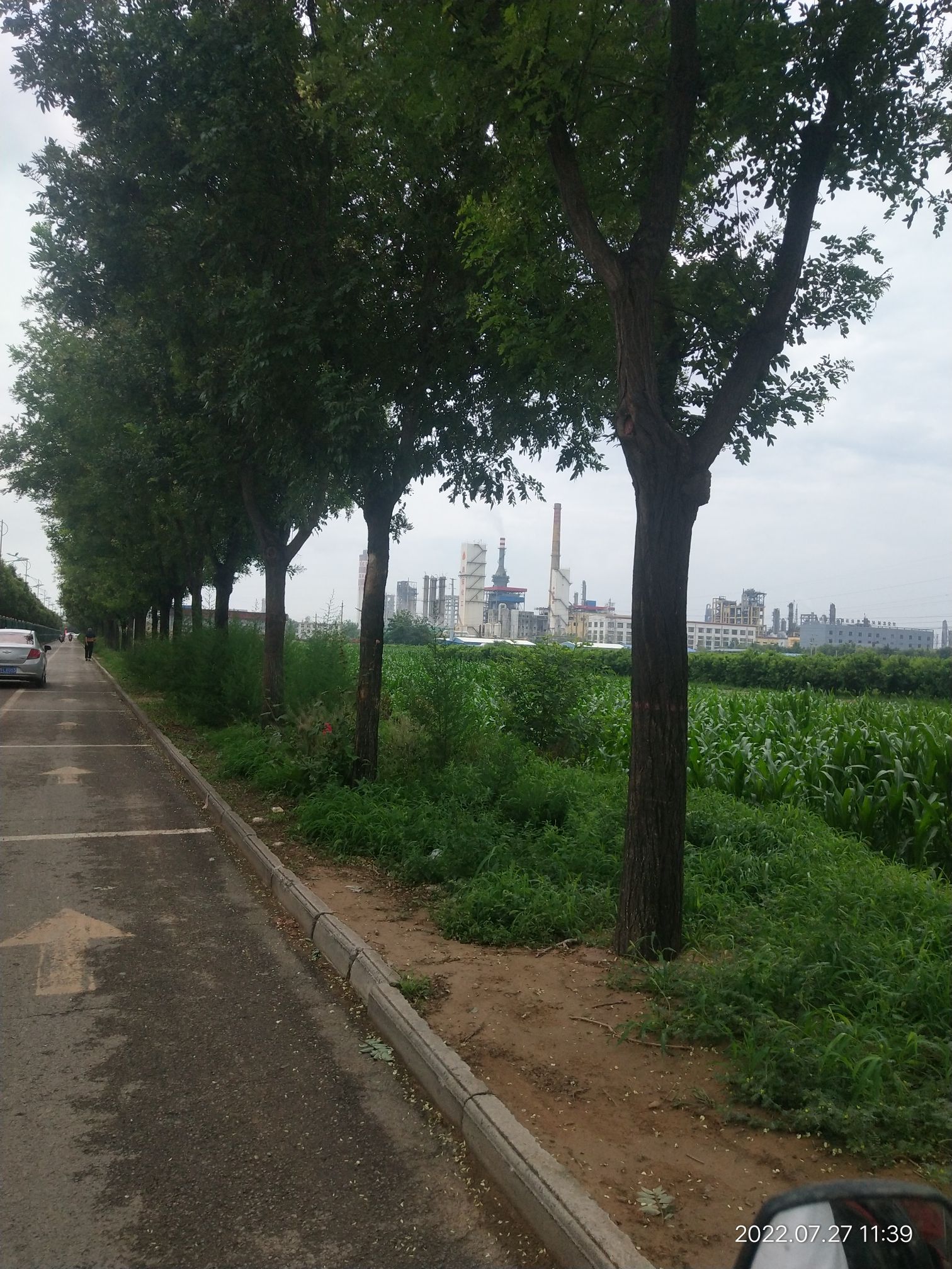 临猗涑水公园旅行图片 3