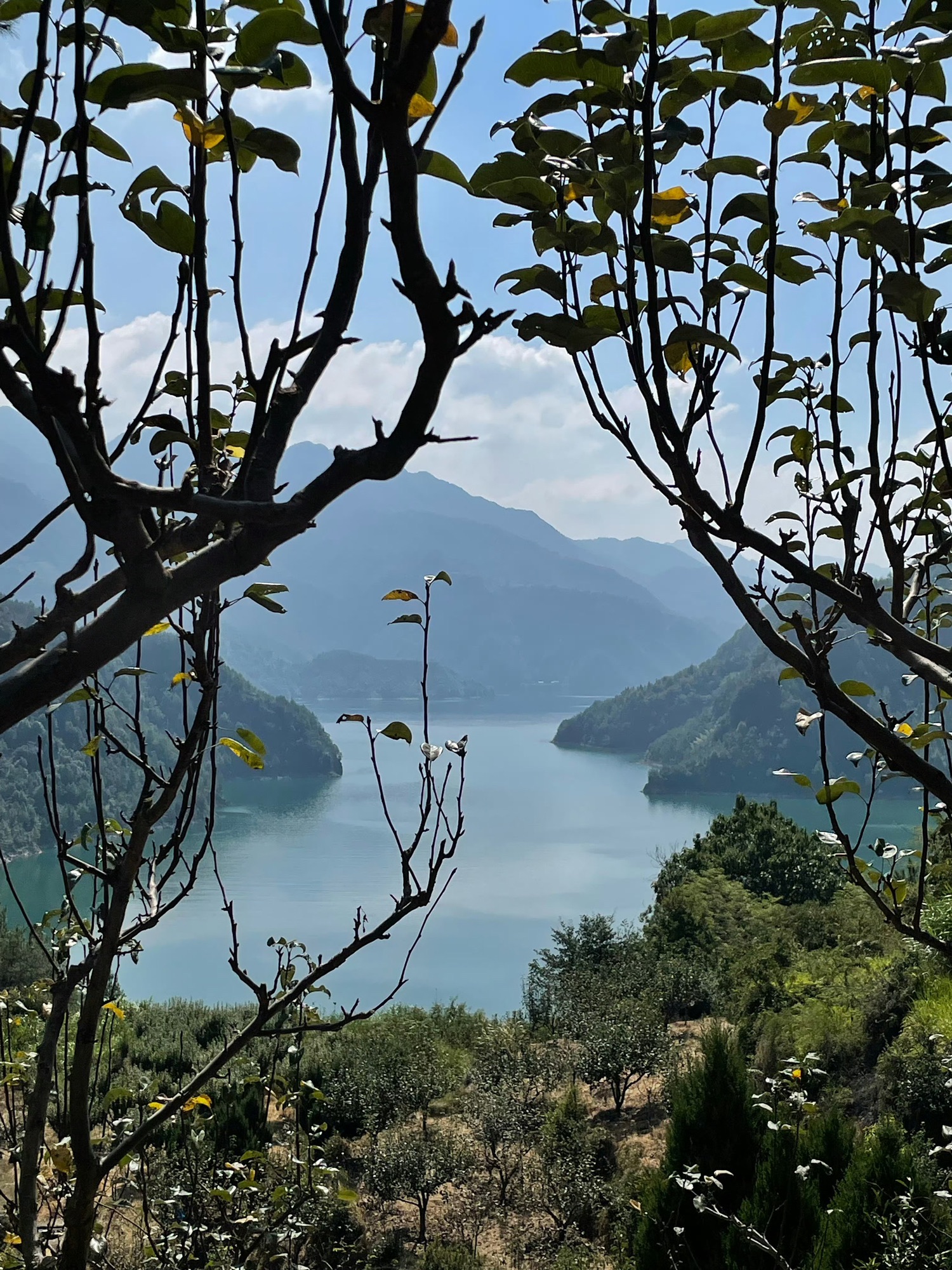 千峡湖生态旅游度假区旅行图片 1