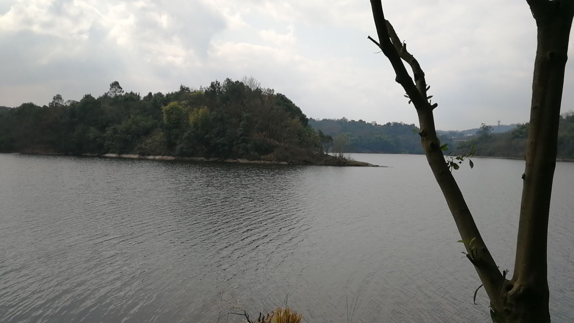 迎龙湖国家湿地公园