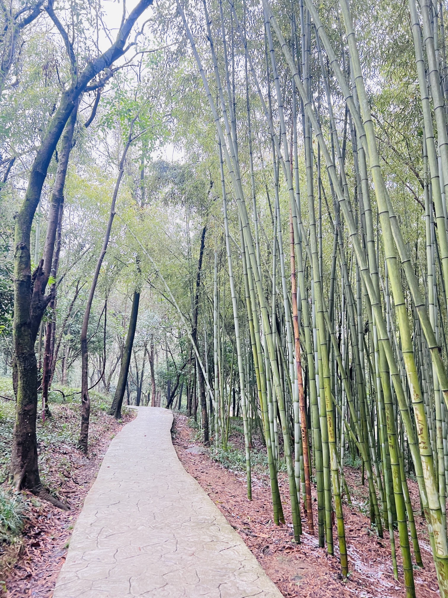 浯溪碑林风景名胜区旅行图片 2