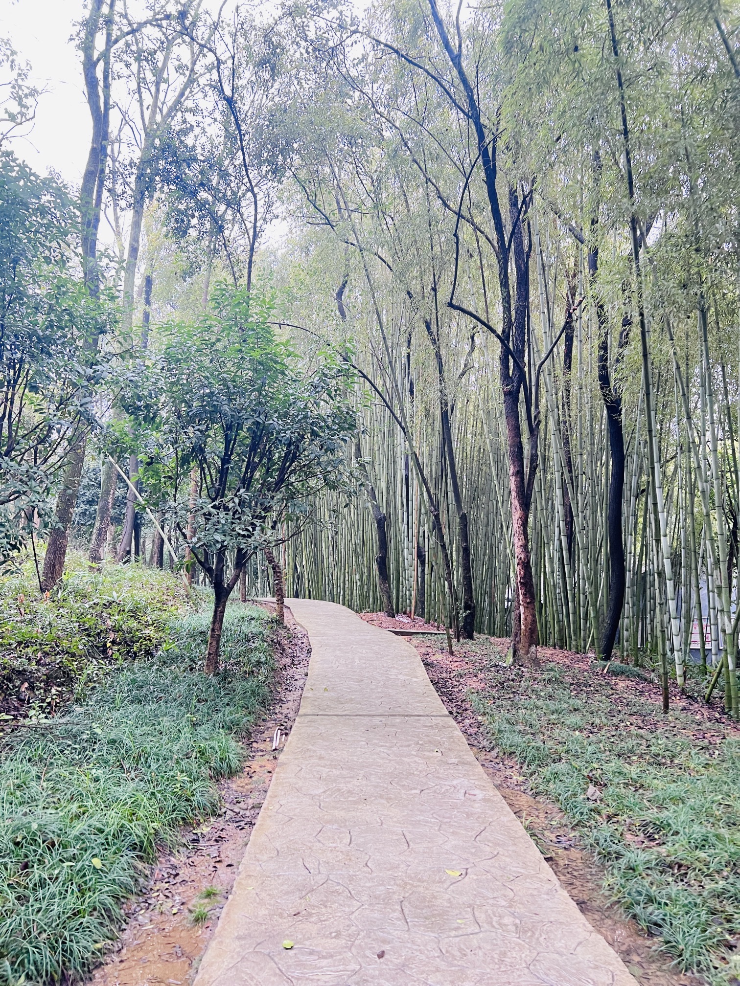 浯溪碑林风景名胜区旅行图片 3