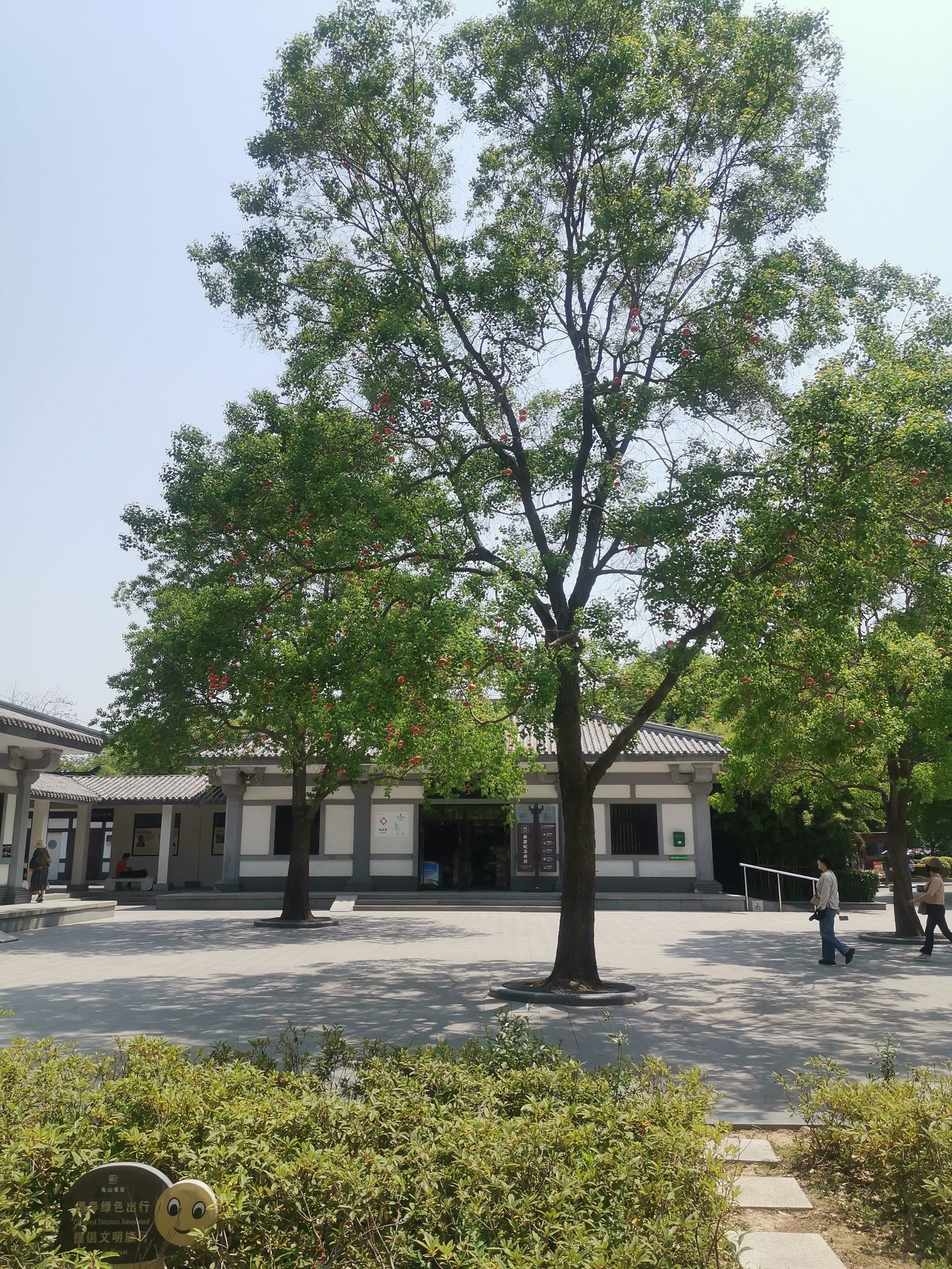 龟山景区旅行图片 3