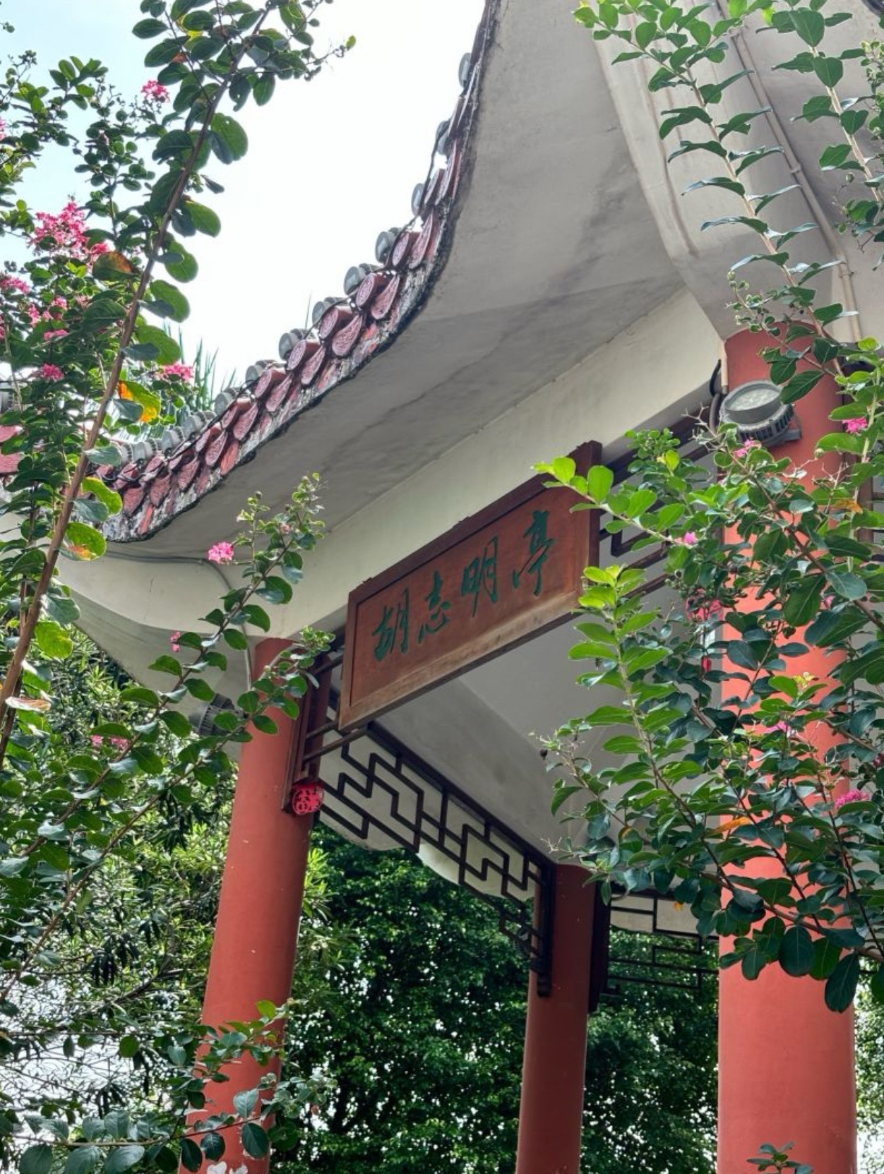 胡志明亭旅行图片 1