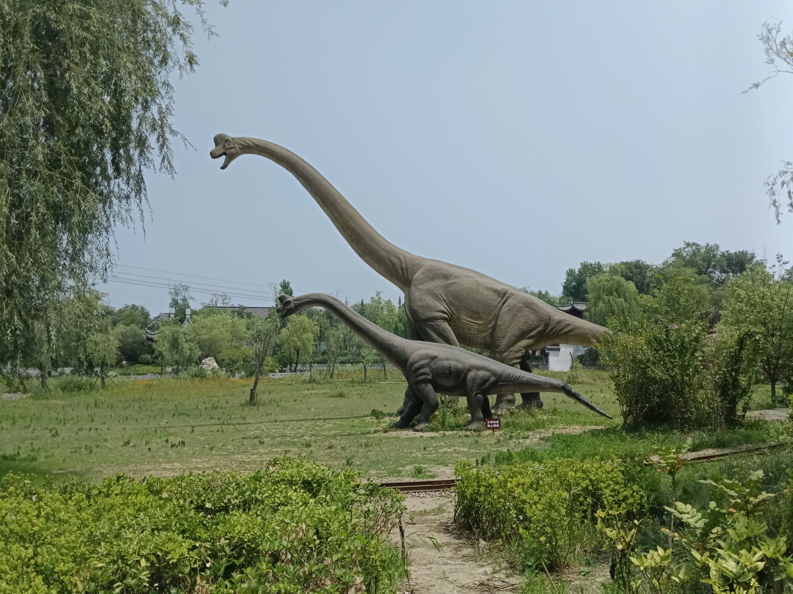 临沂龙园旅游区旅行图片 1