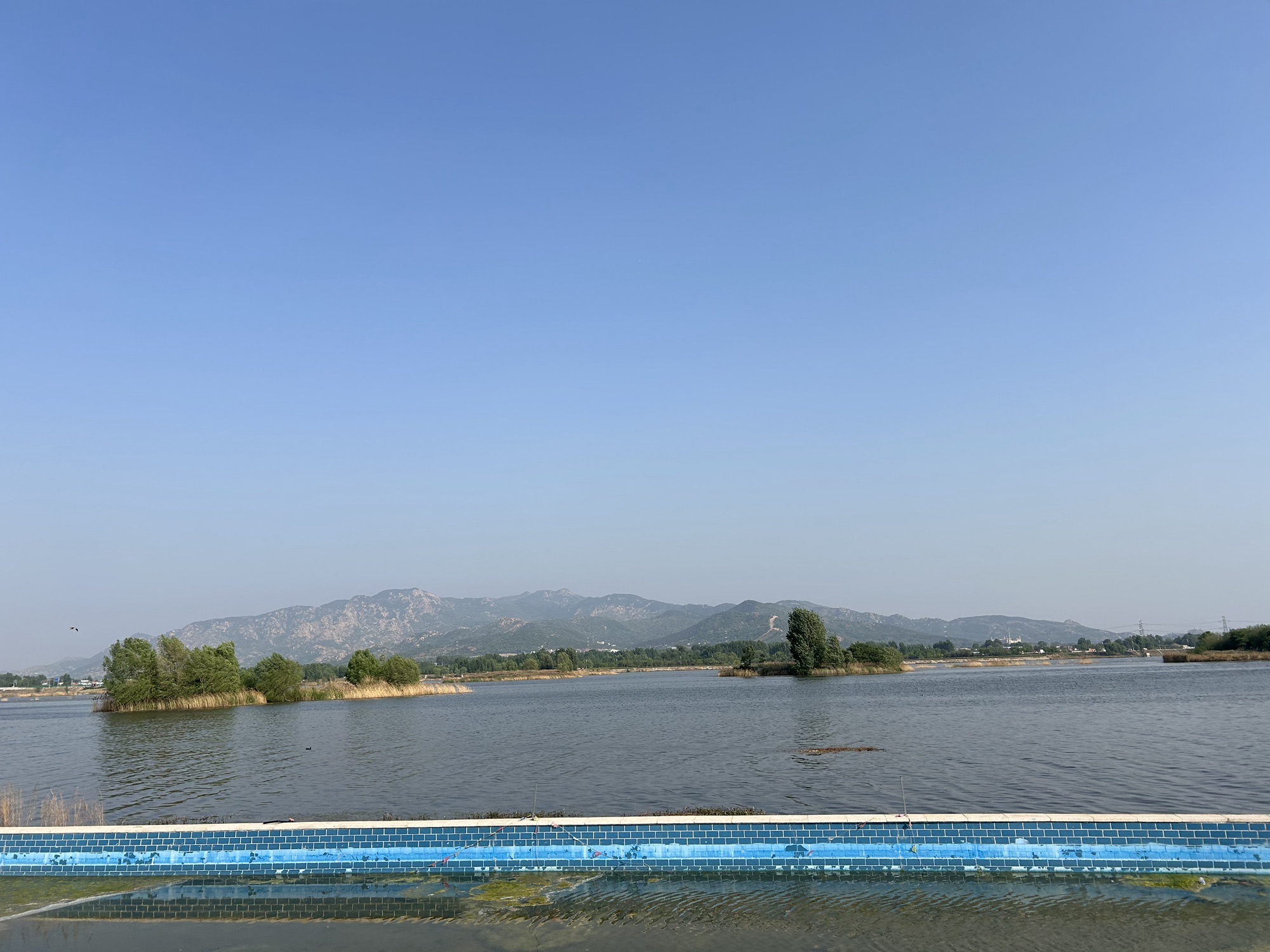 汶河国家湿地公园旅行图片 3
