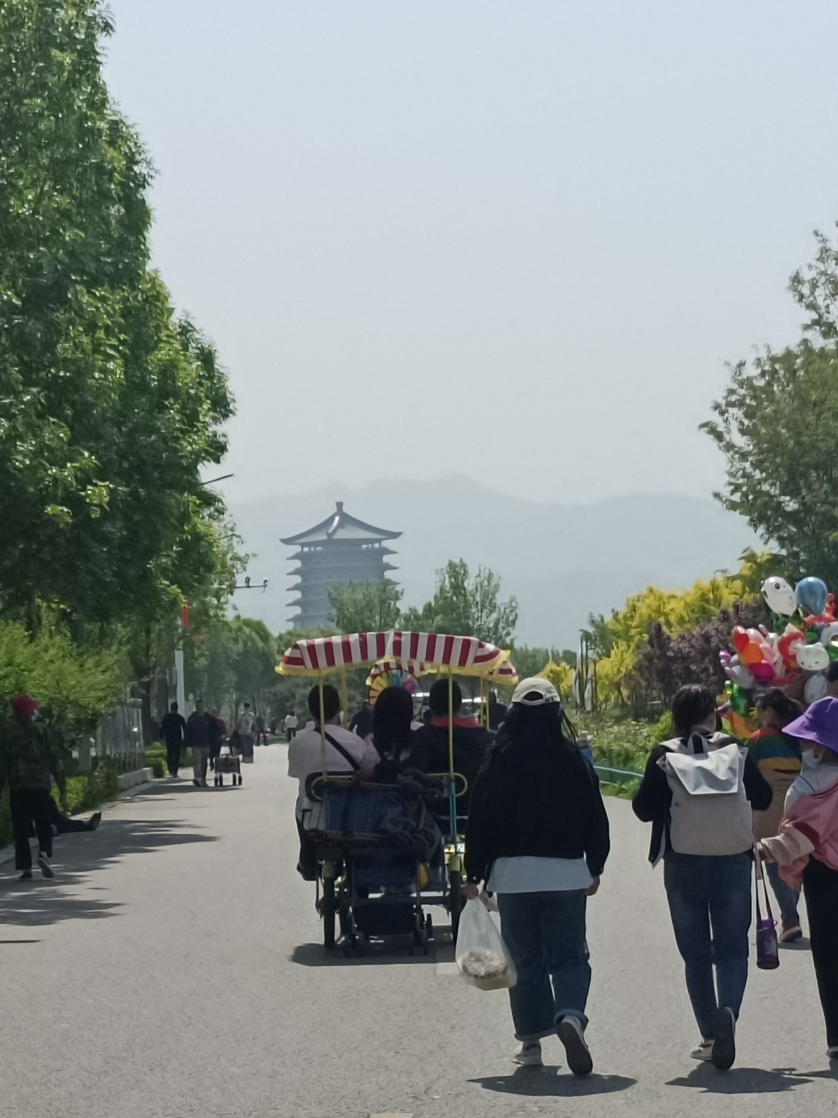 汶河国家湿地公园旅行图片 2