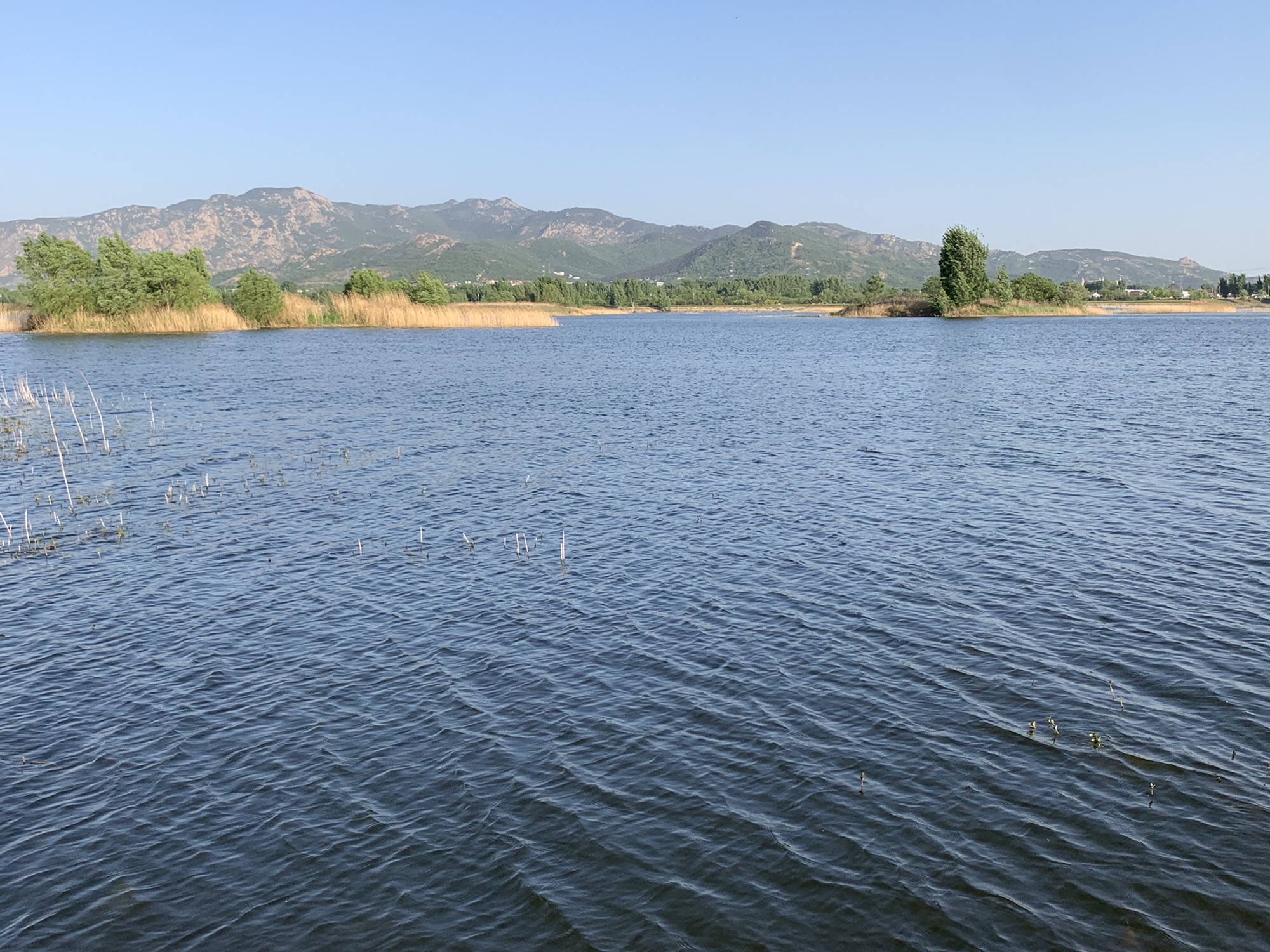 汶河国家湿地公园旅行图片 2