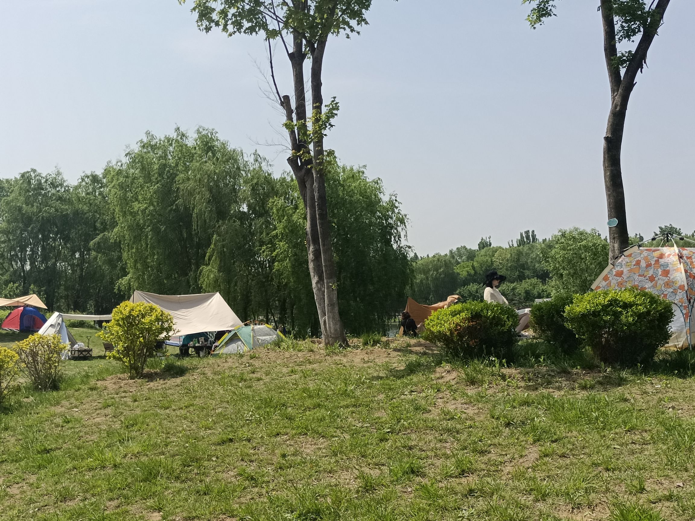 汶河国家湿地公园旅行图片 3