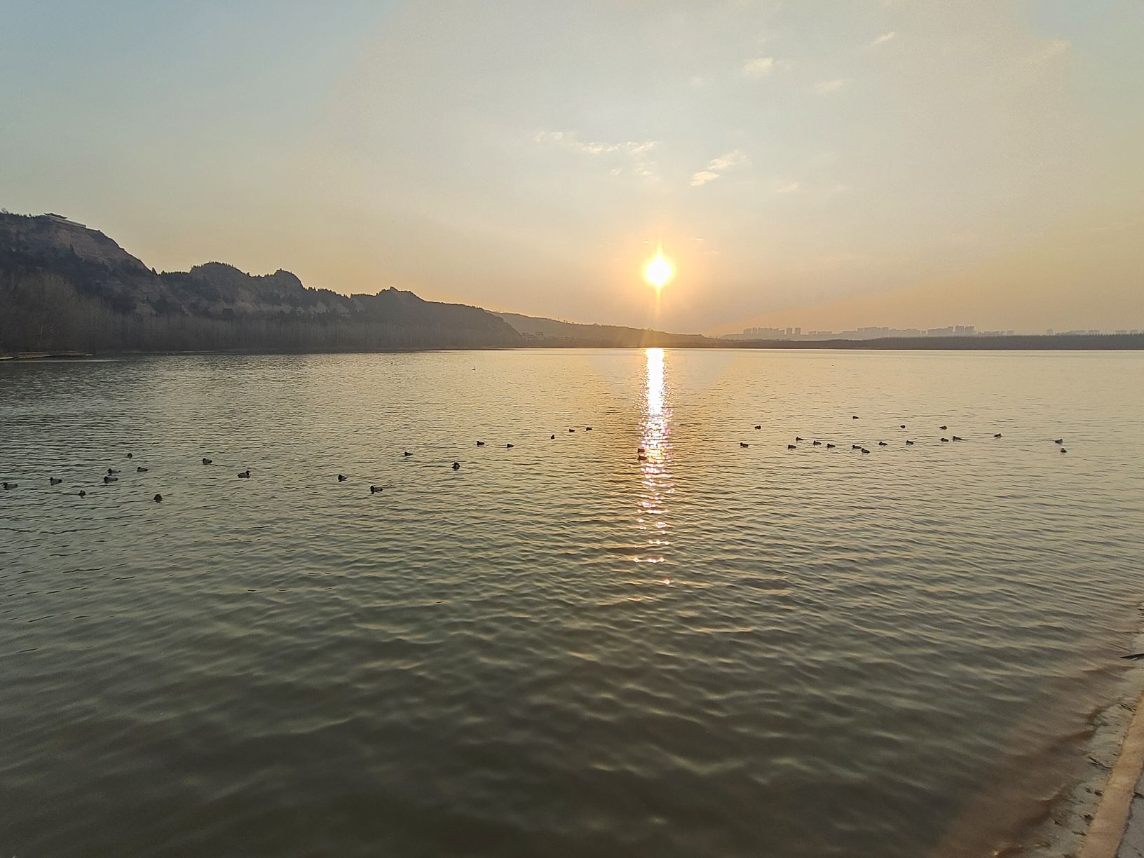 大天鹅景区旅行图片 3